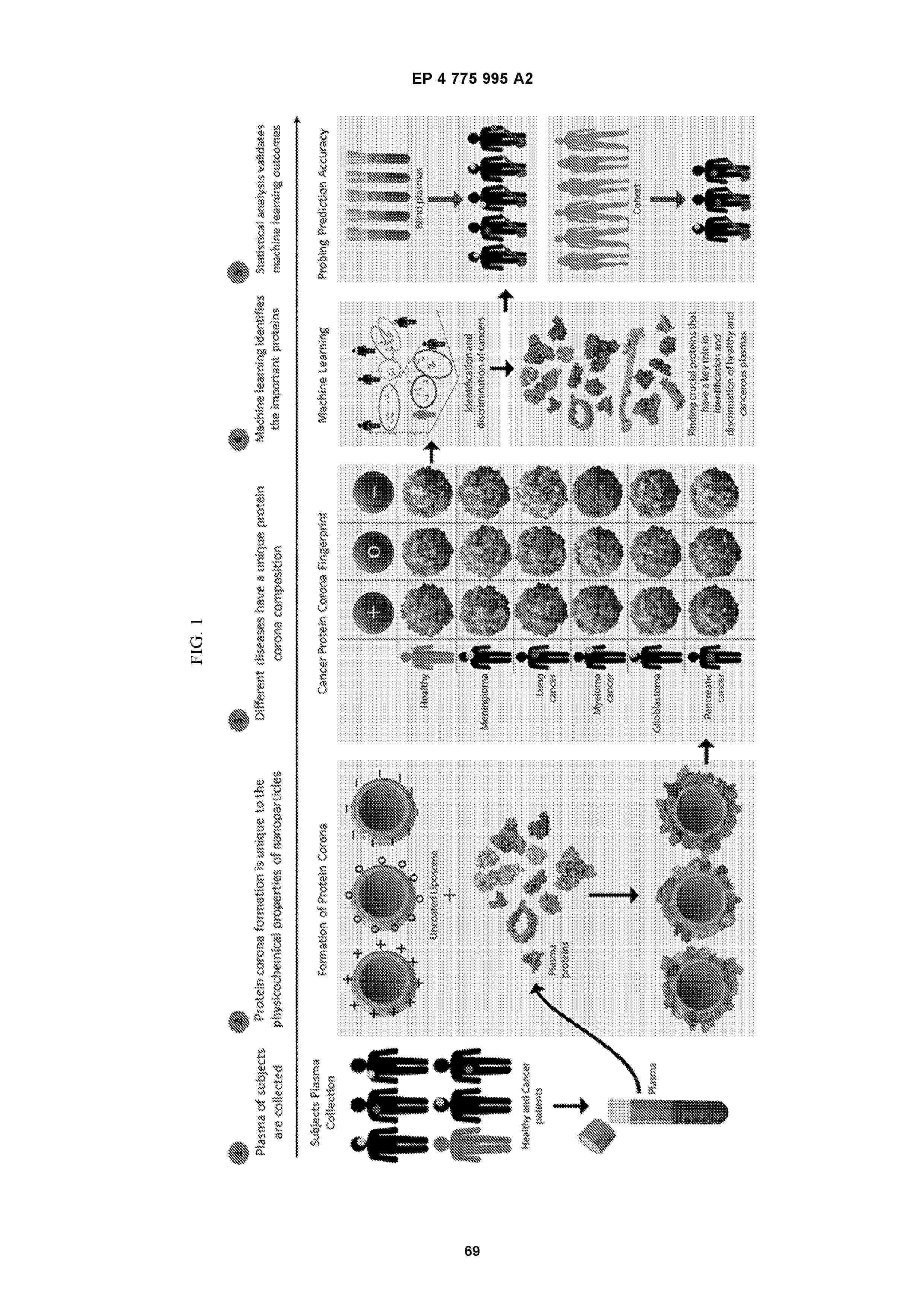 EP_4775995_A2