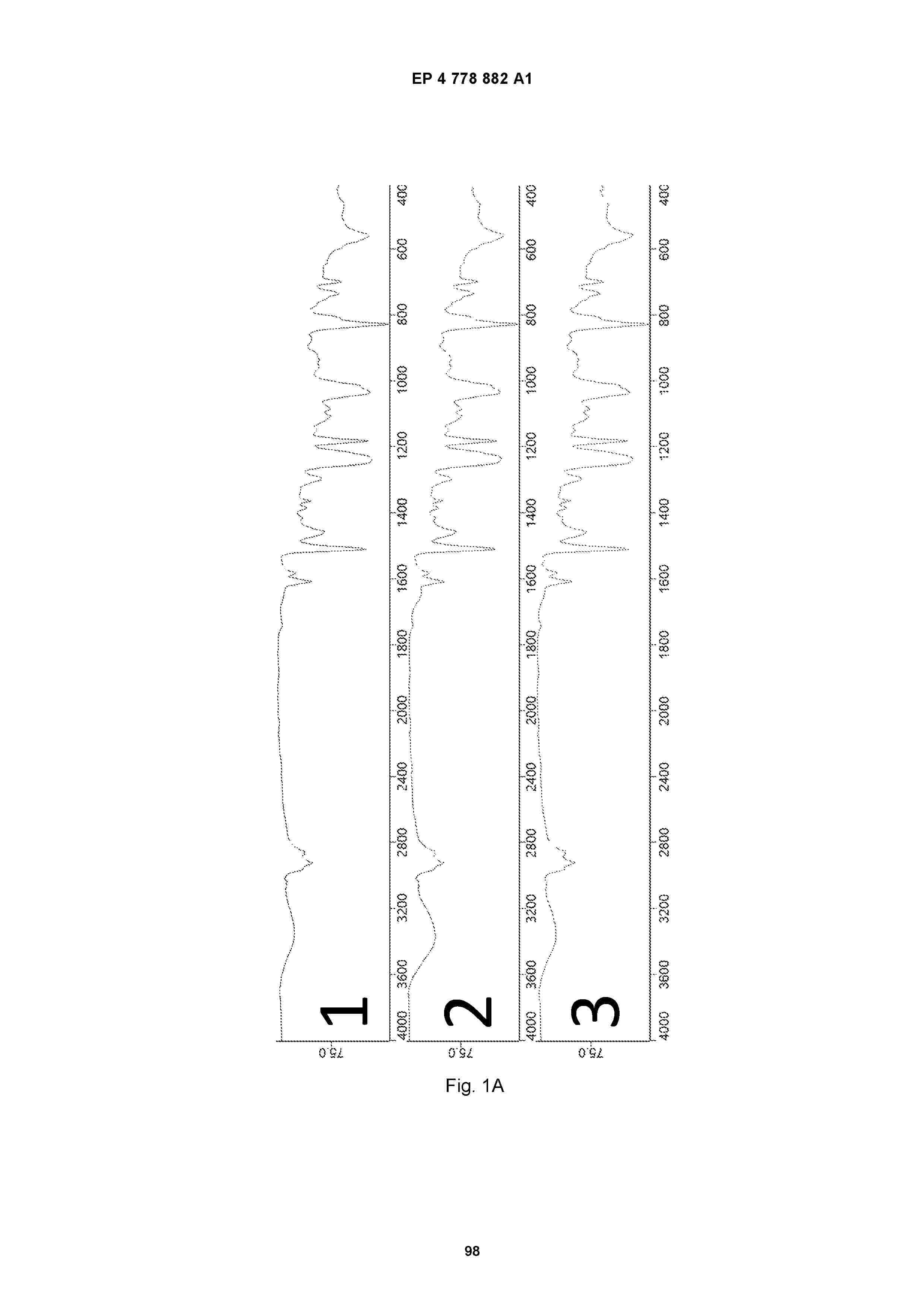 EP_4778882_A1