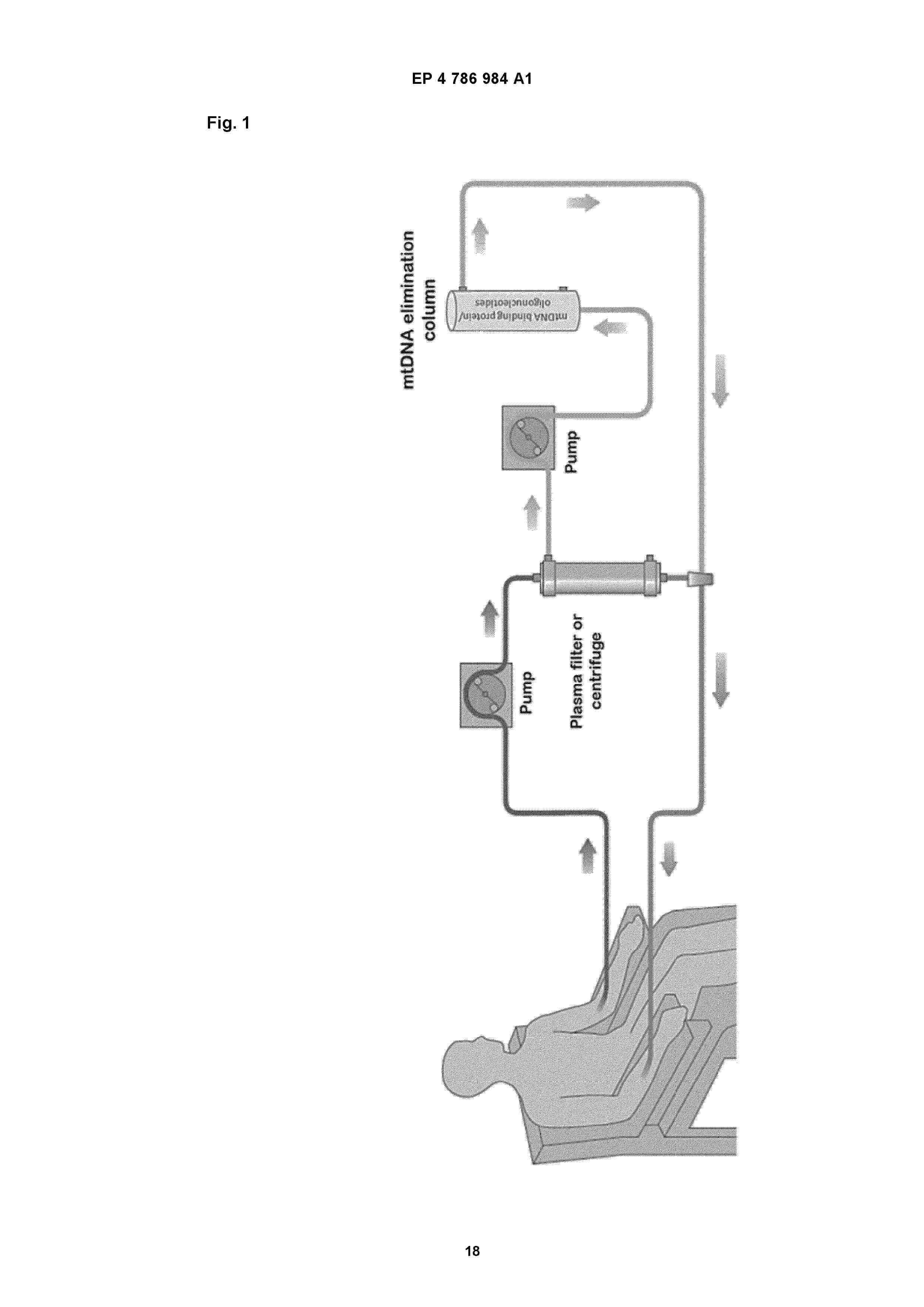 EP_4786984_A1