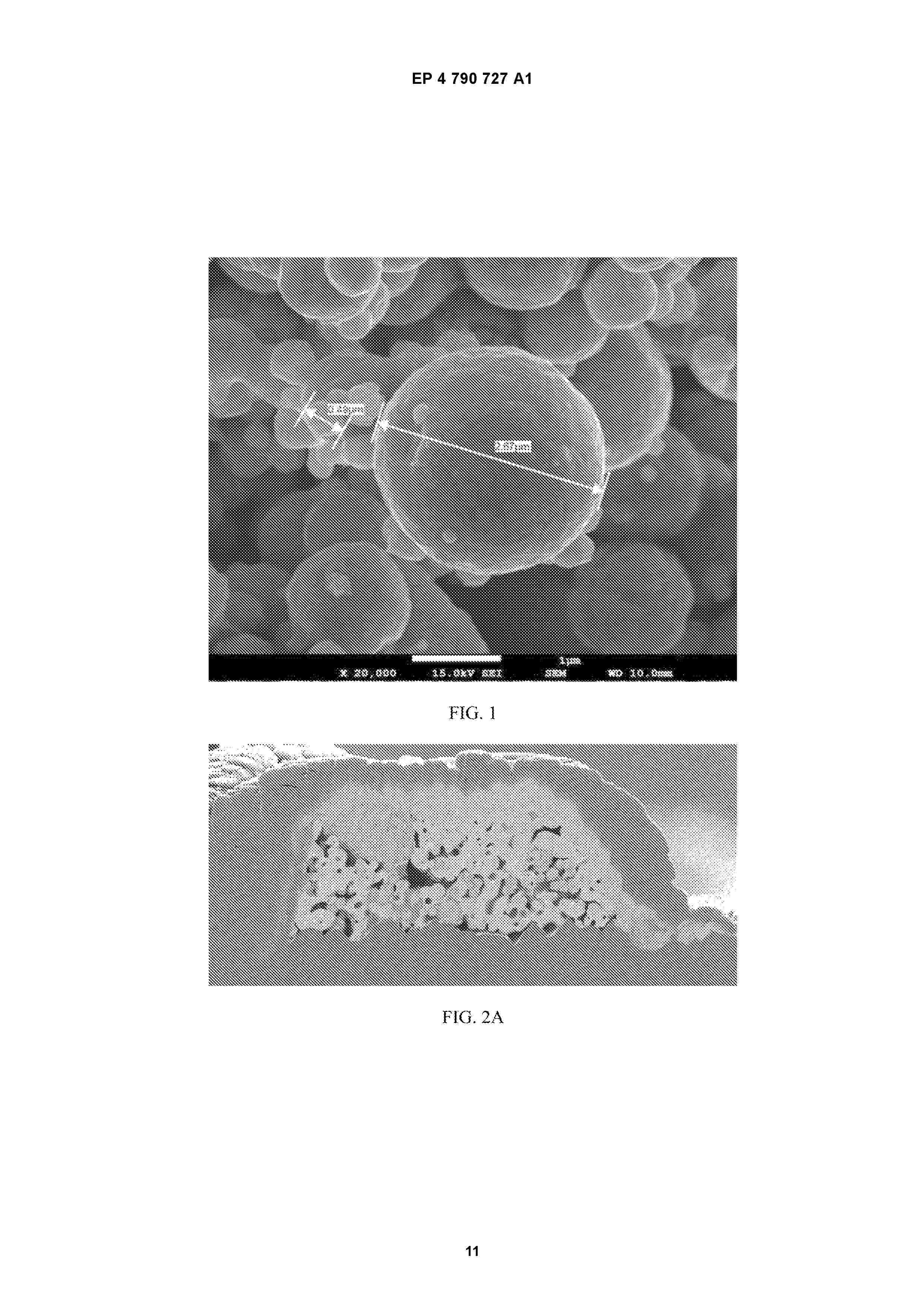 EP_4790727_A1