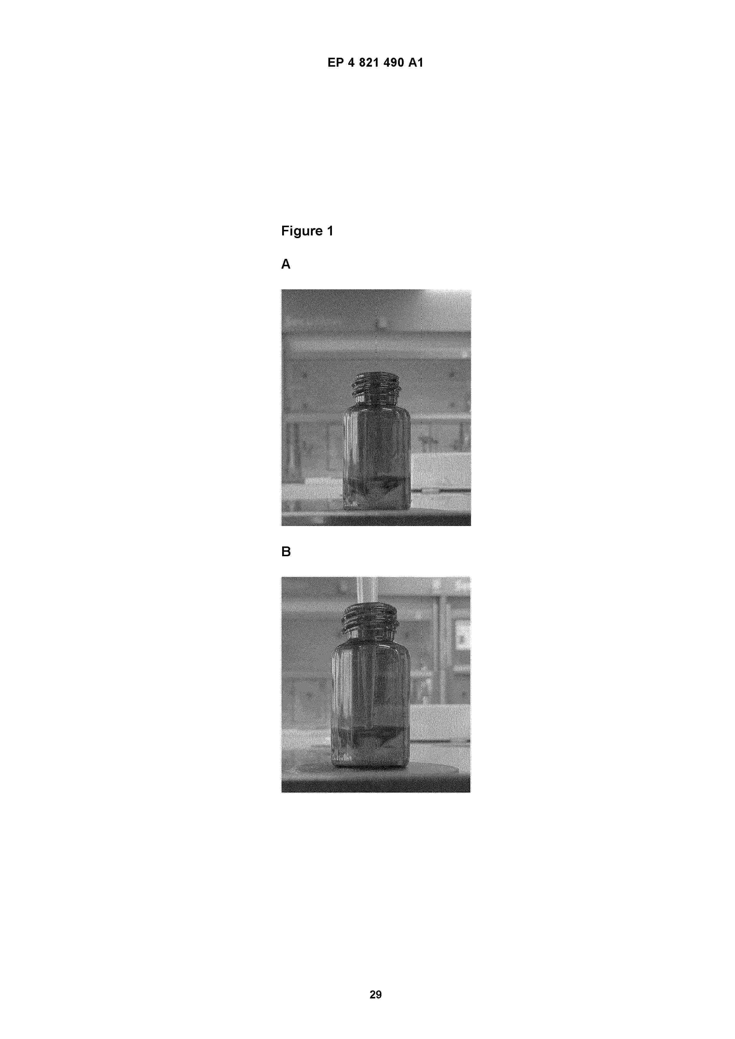 EP_4821490_A1
