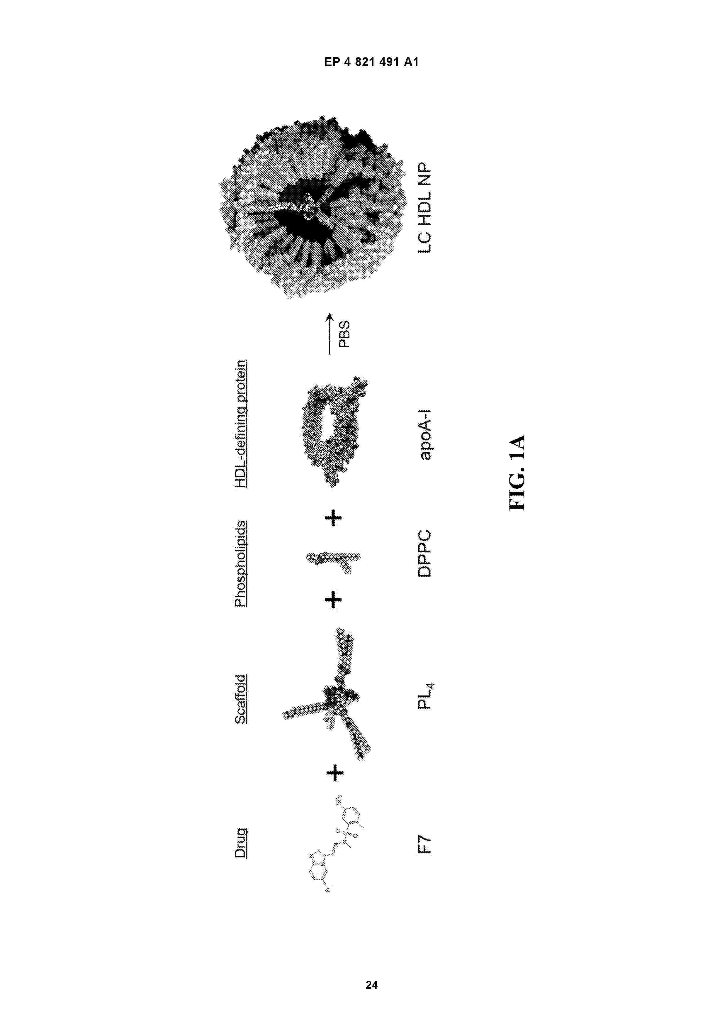 EP_4821491_A1