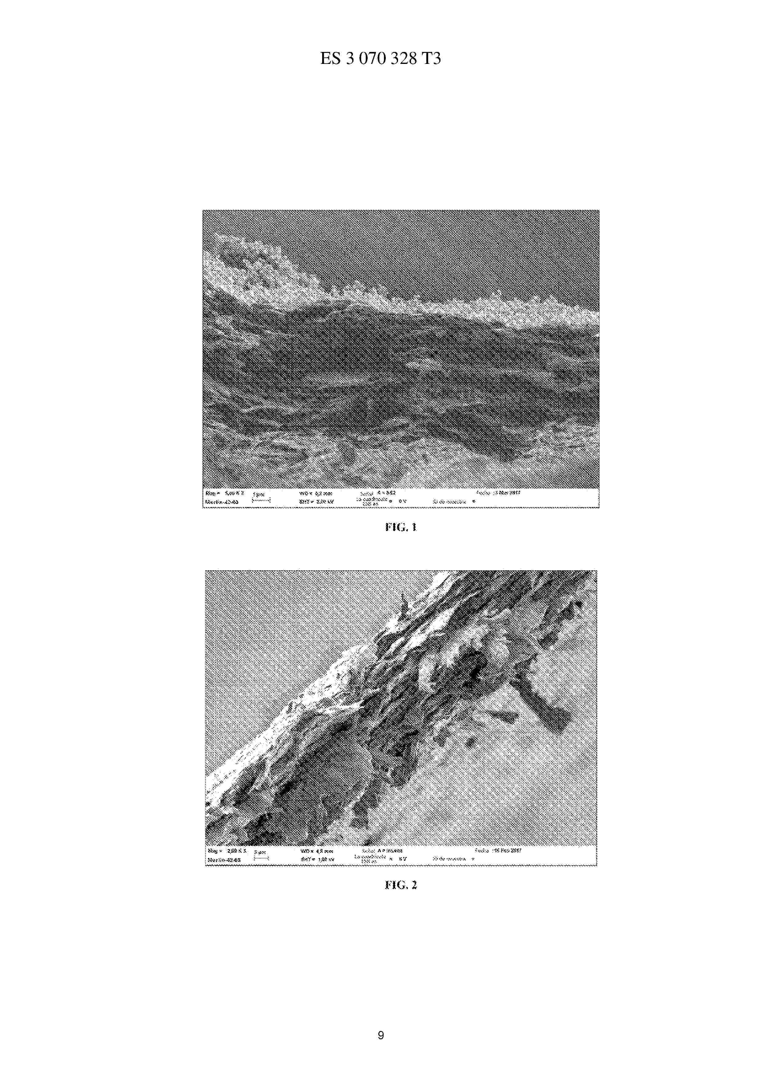 ES_3070328_T3