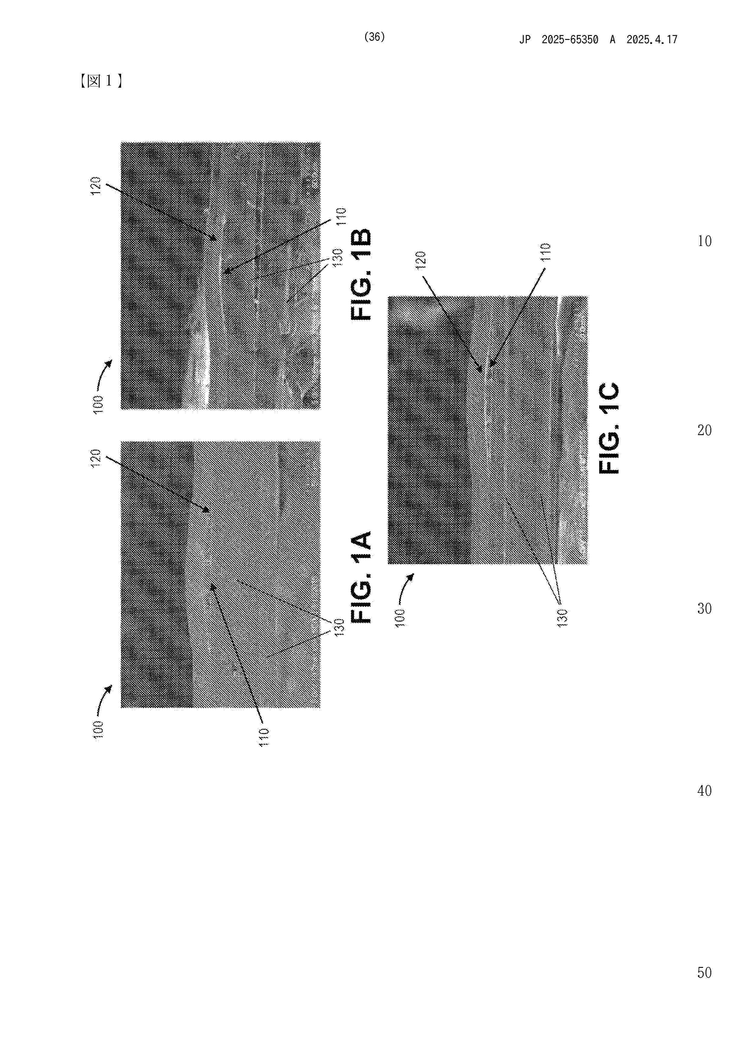 JP_2025065350_A
