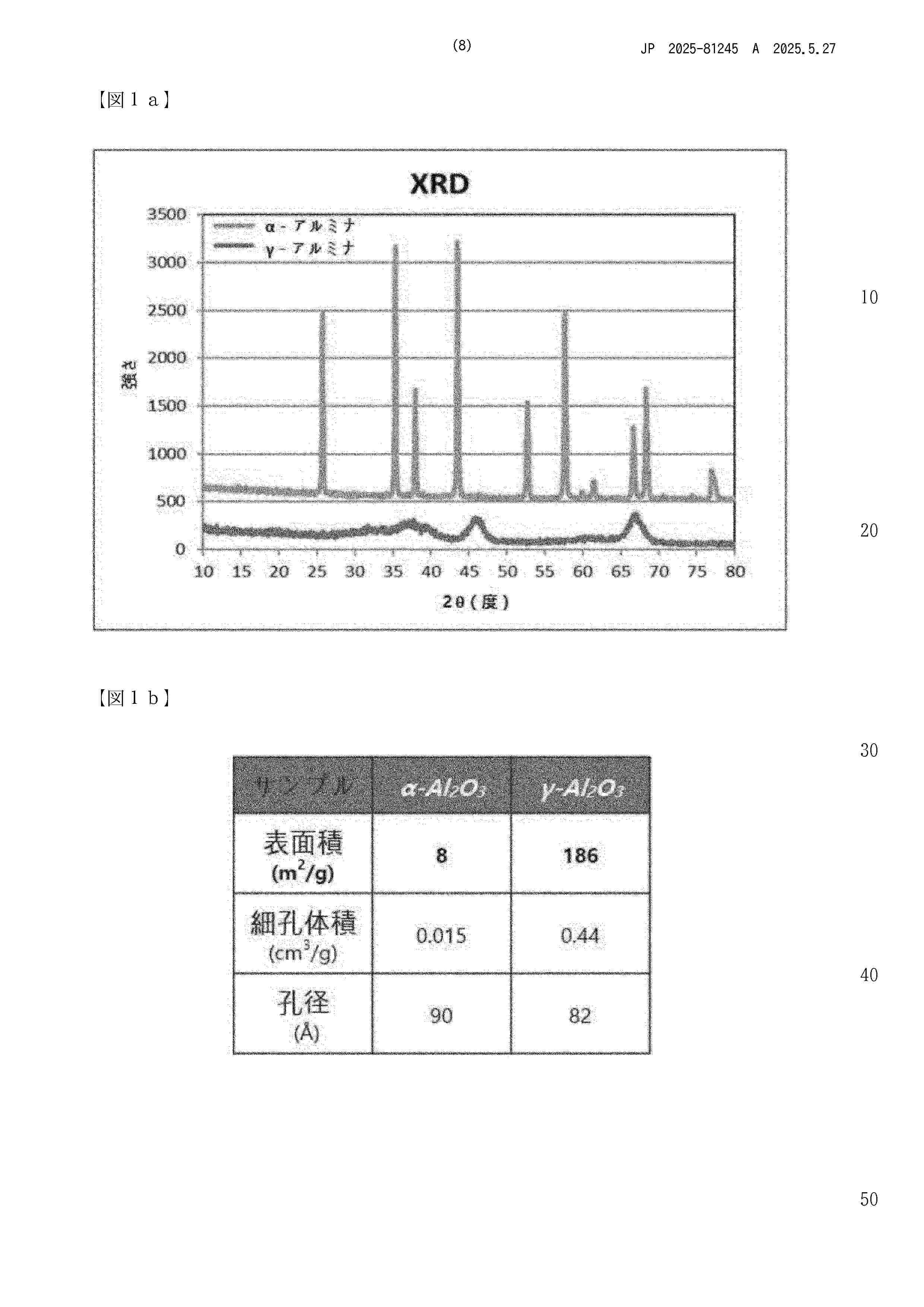 JP_2025081245_A