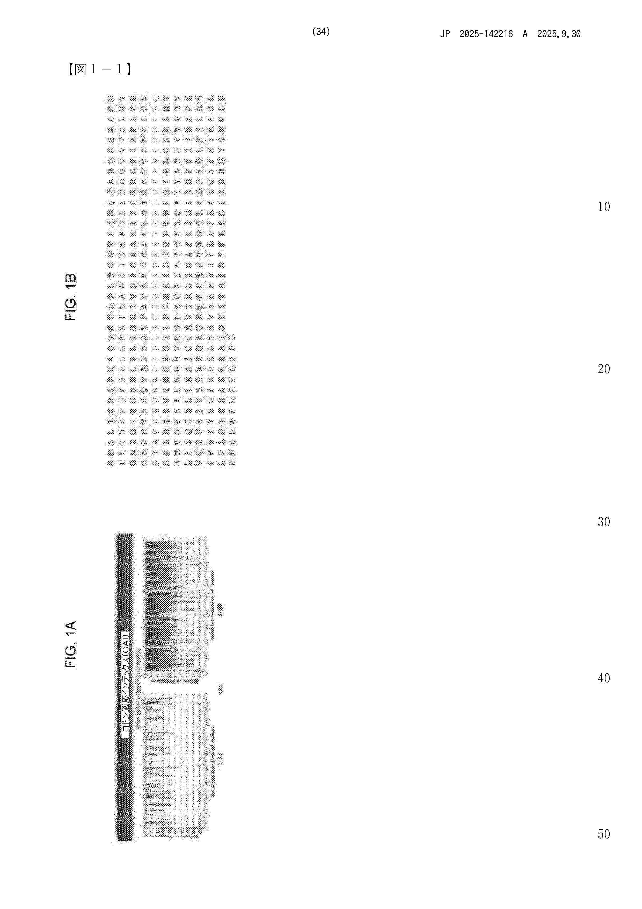 JP_2025142216_A