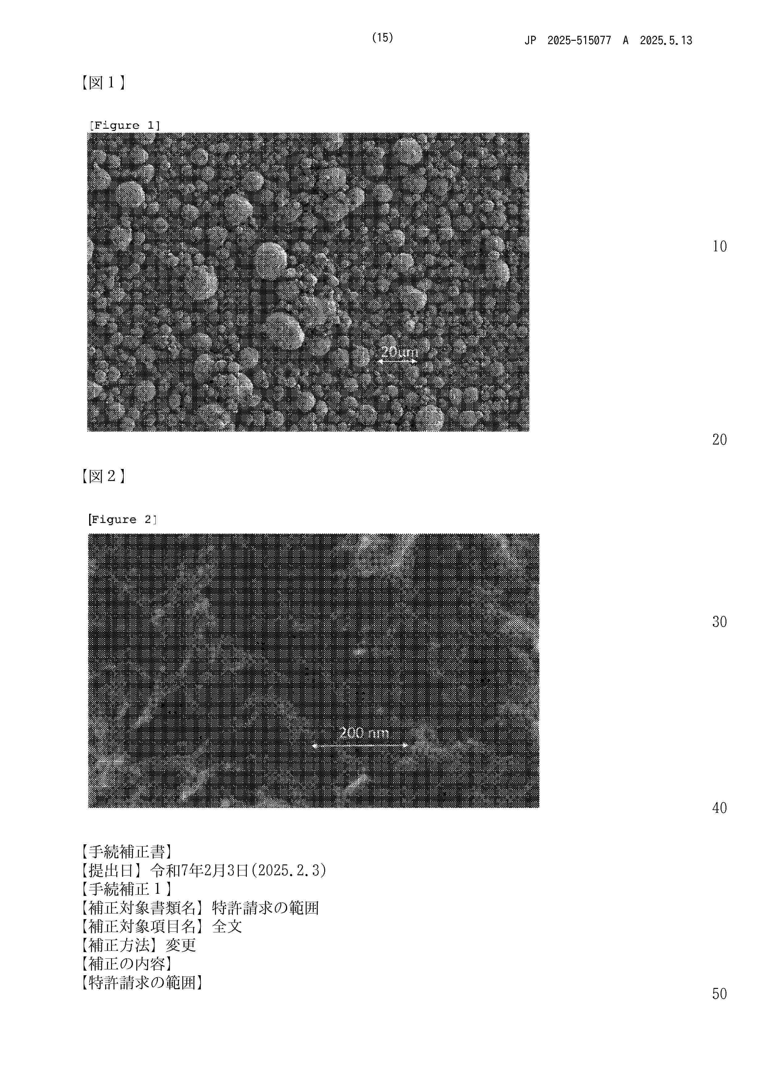 JP_2025515077_A
