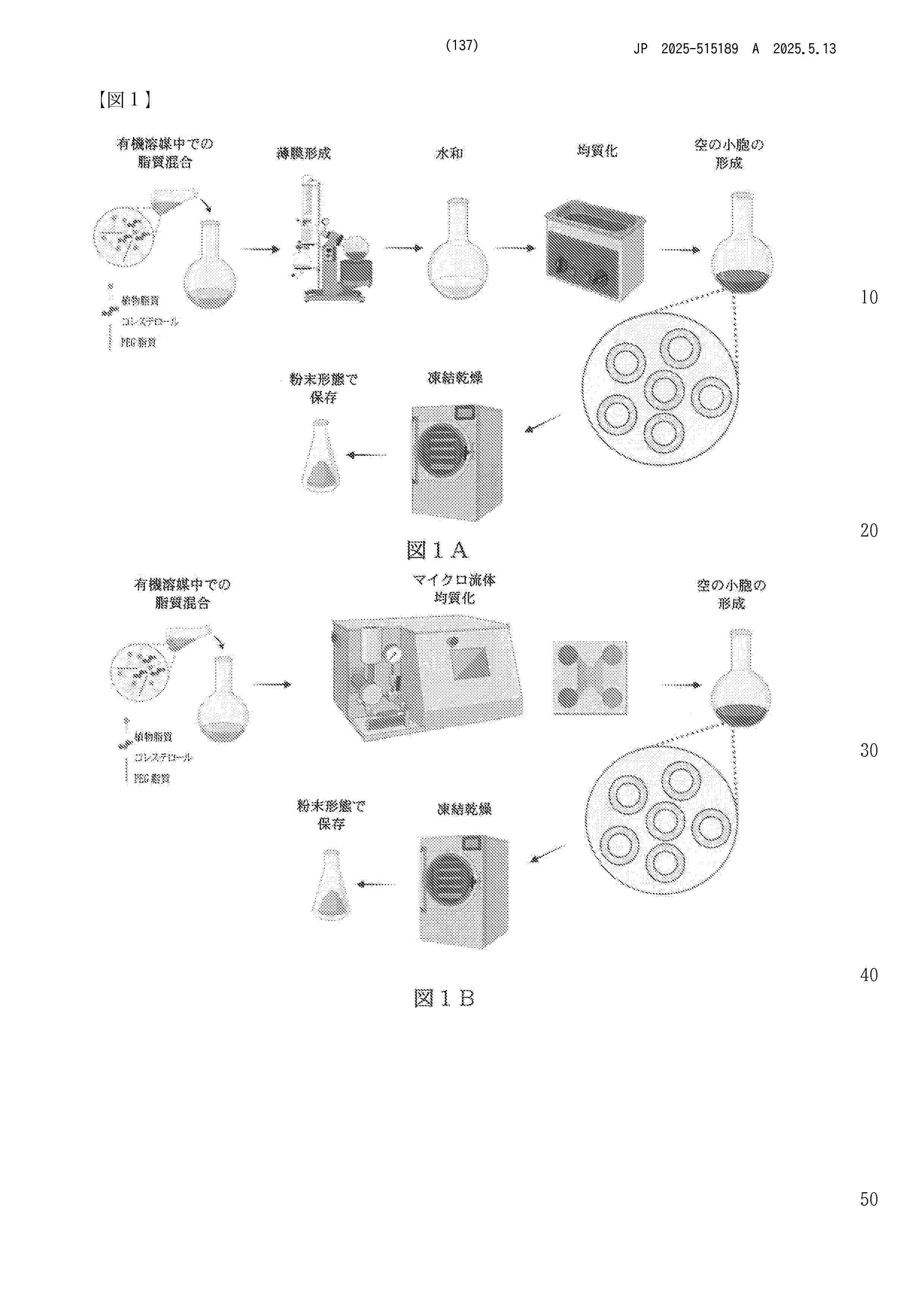 JP_2025515189_A