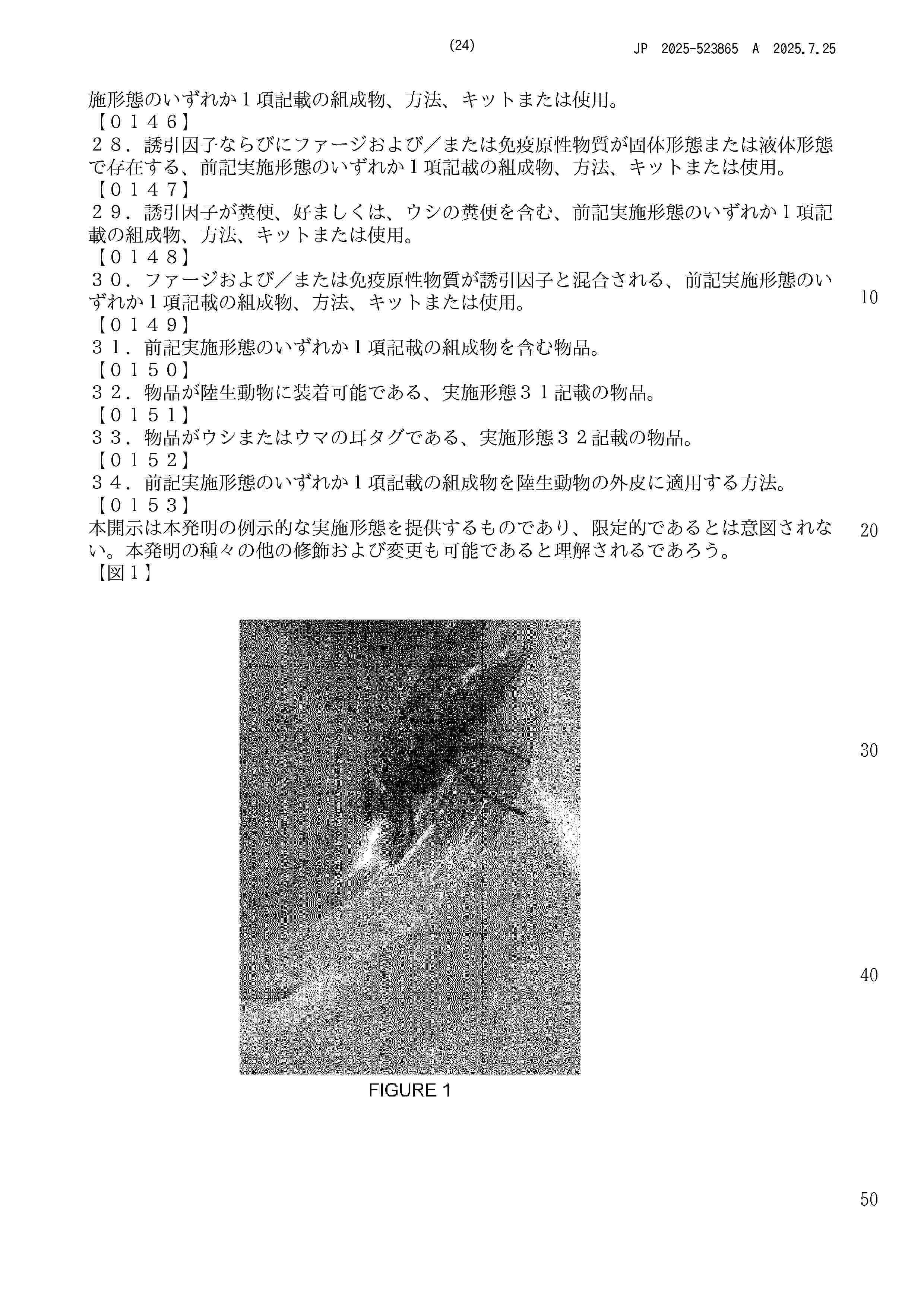 JP_2025523865_A