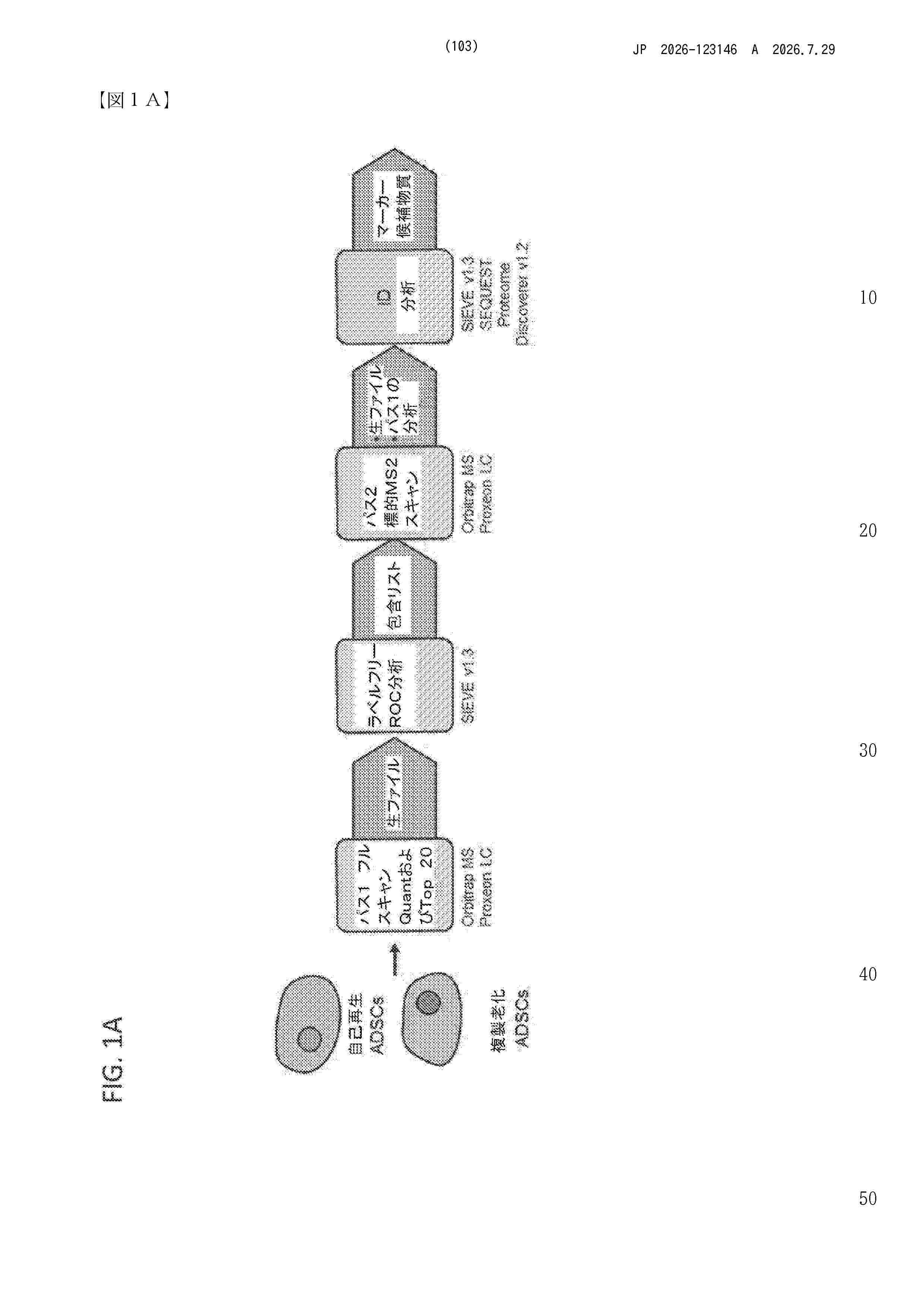 JP_2026123146_A