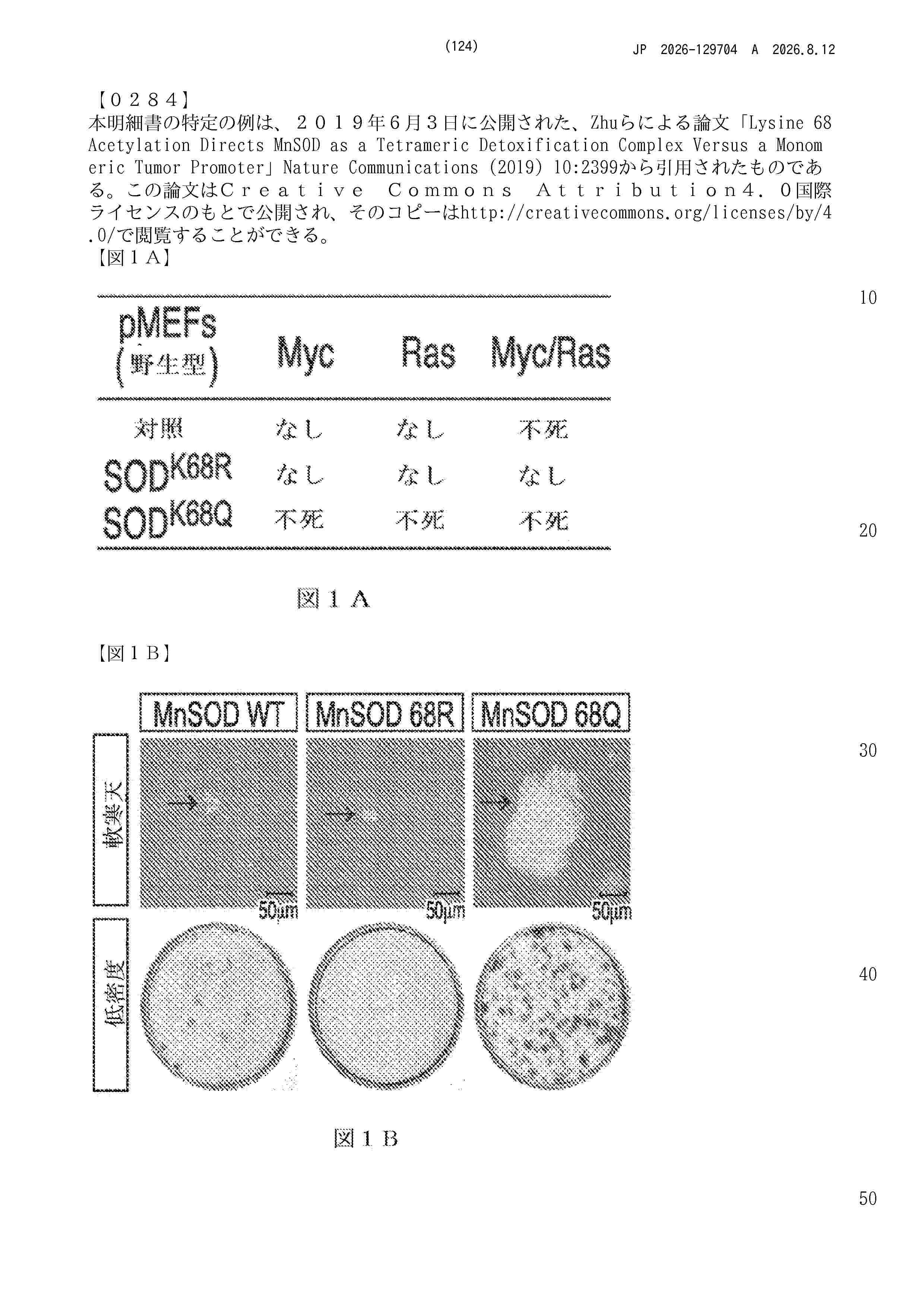 JP_2026129704_A