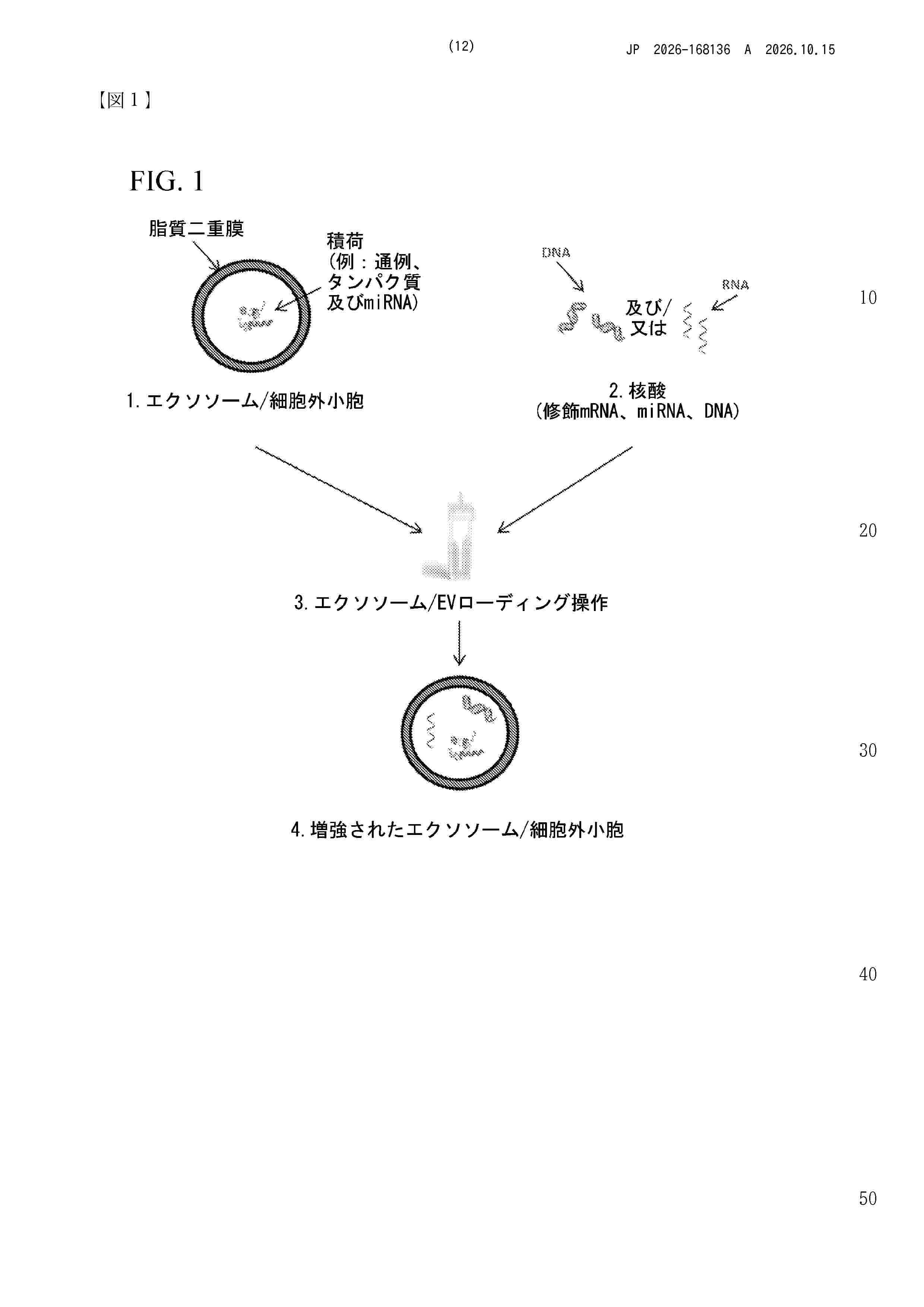 JP_2026168136_A