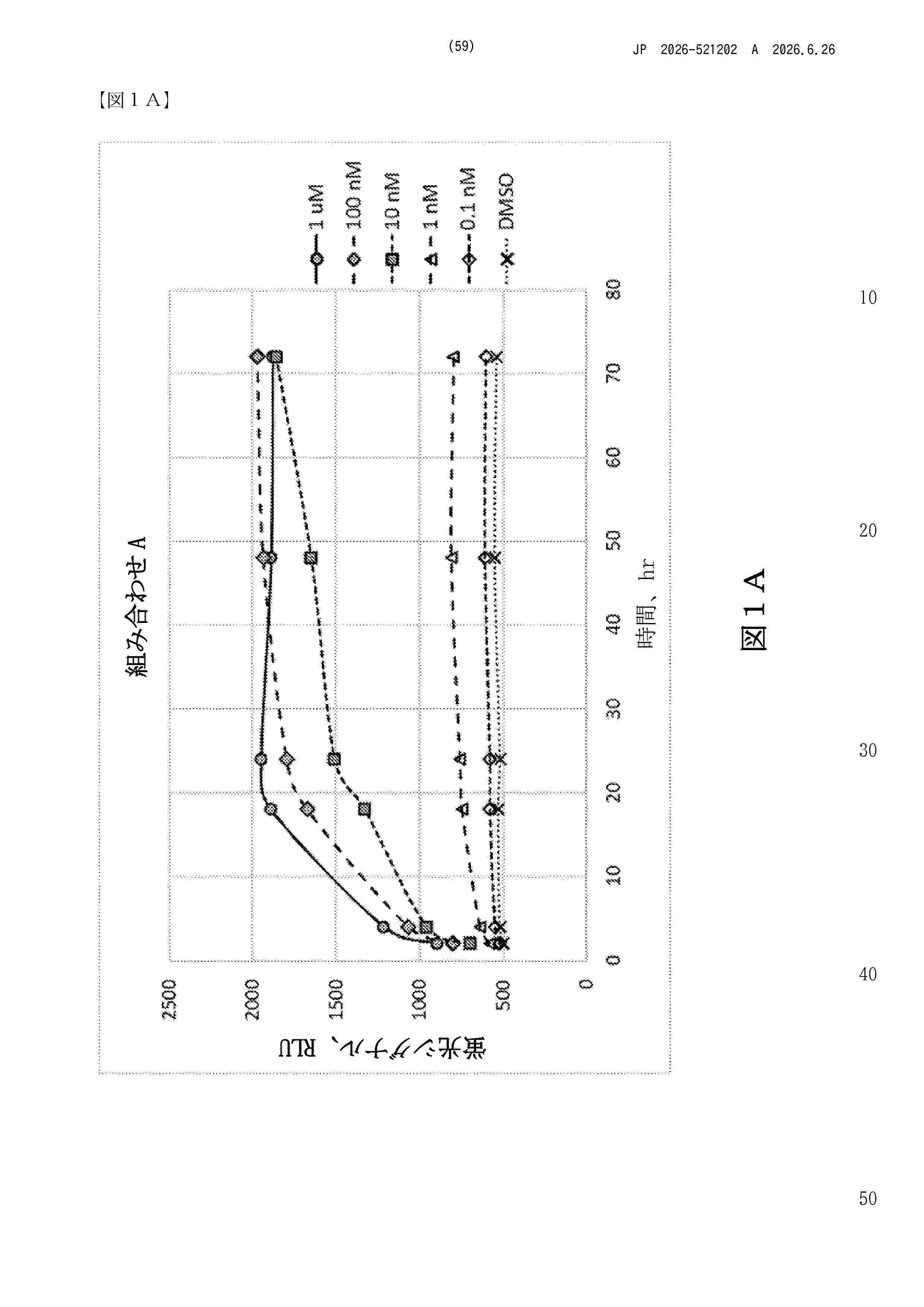 JP_2026521202_A