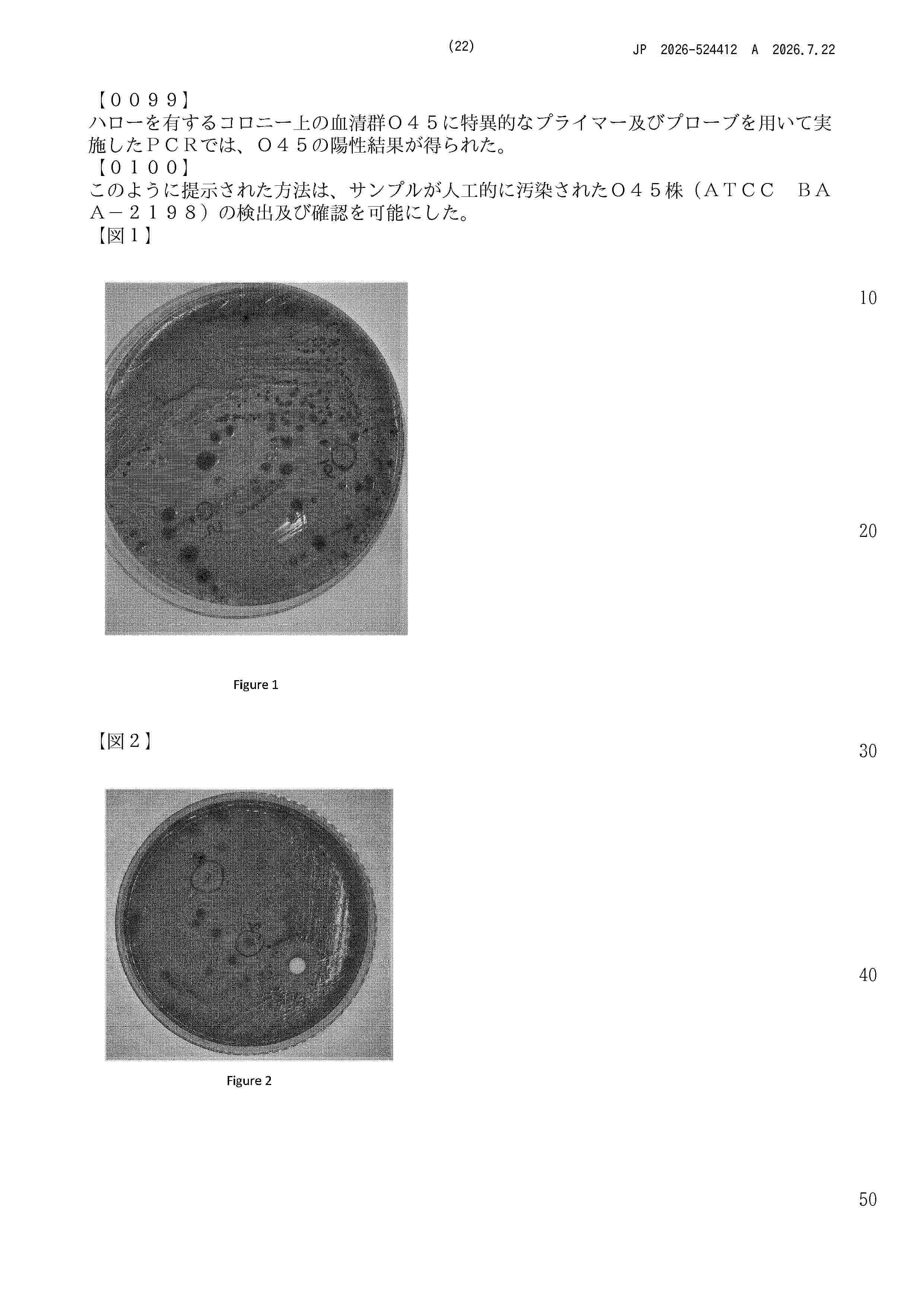 JP_2026524412_A