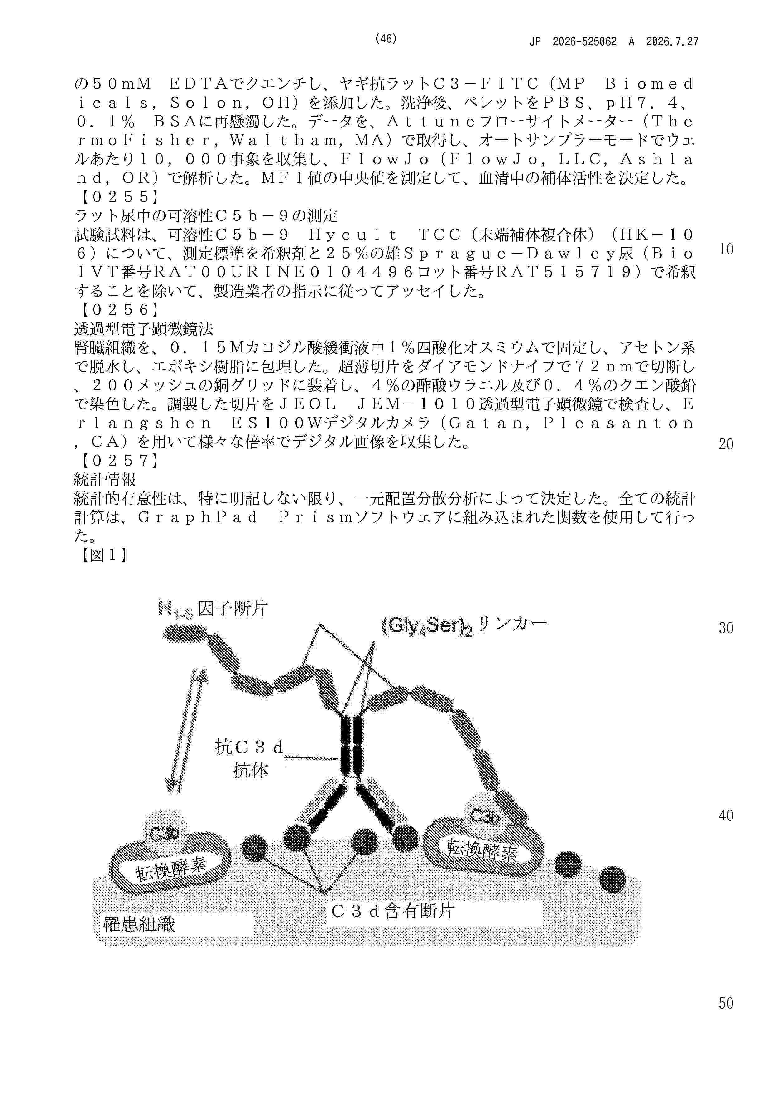 JP_2026525062_A