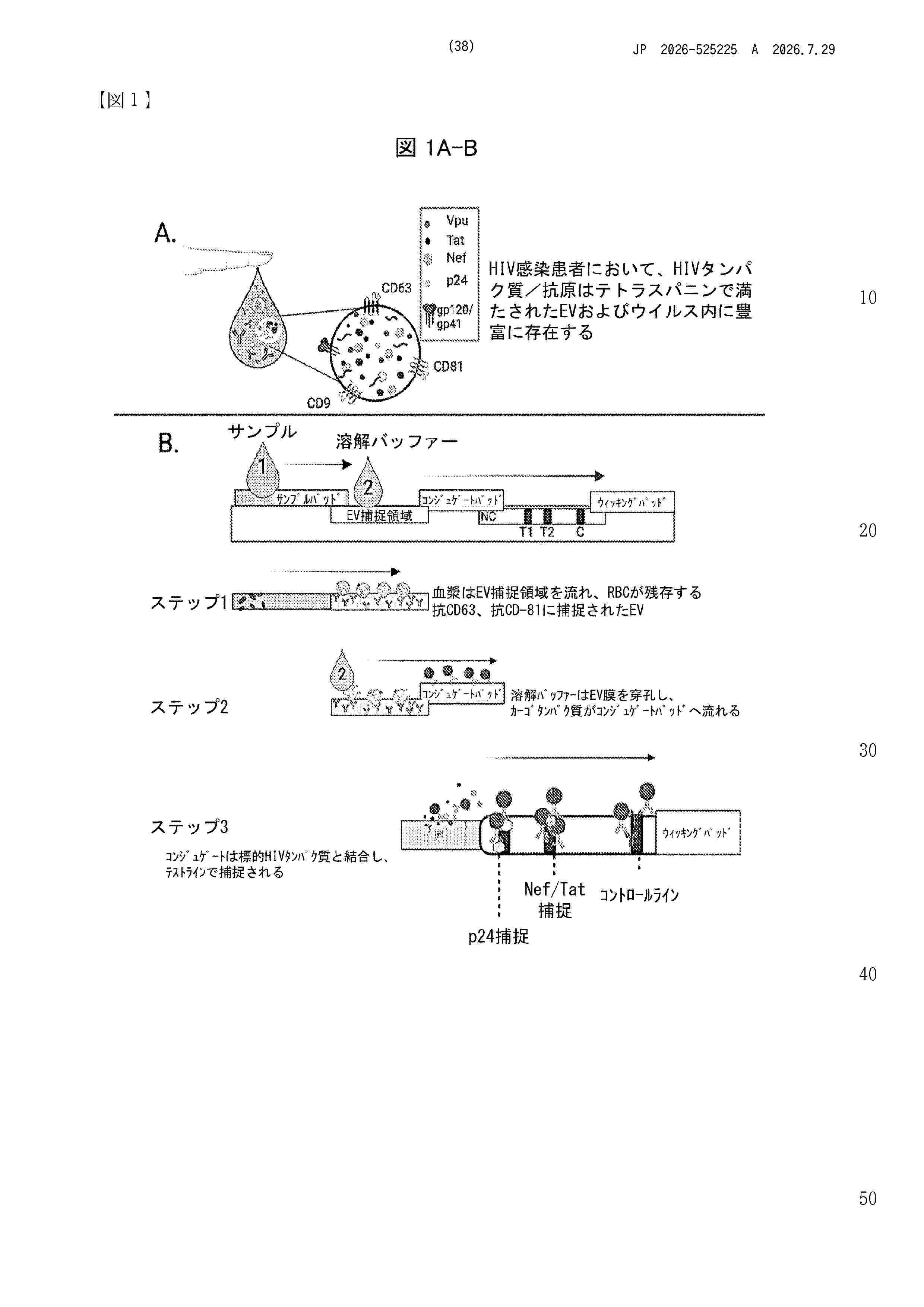 JP_2026525225_A