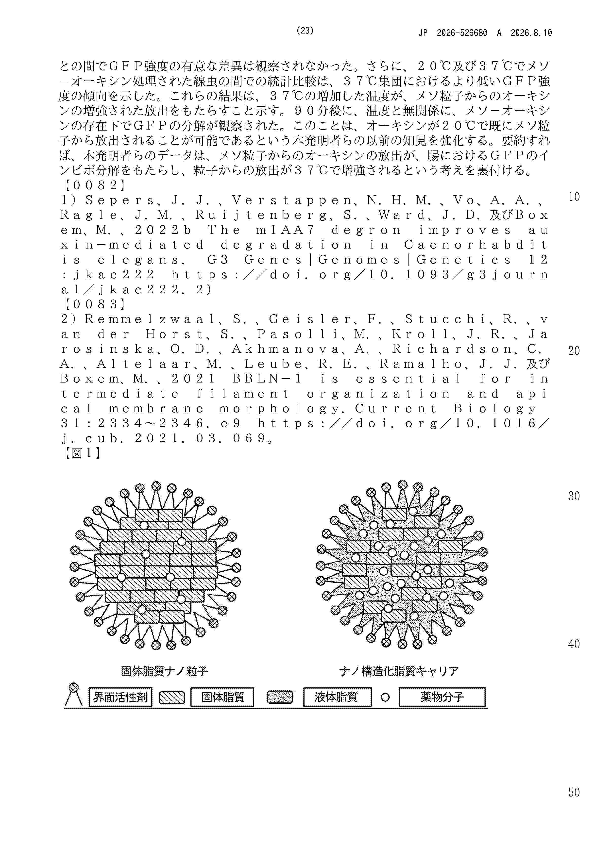 JP_2026526680_A