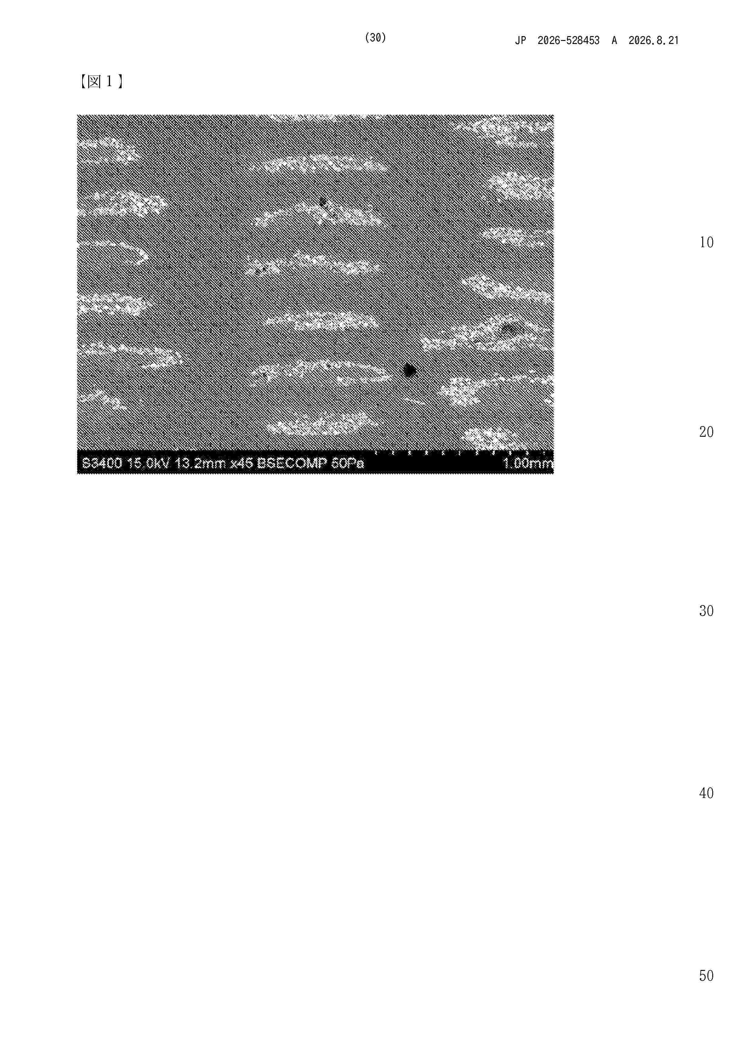 JP_2026528453_A