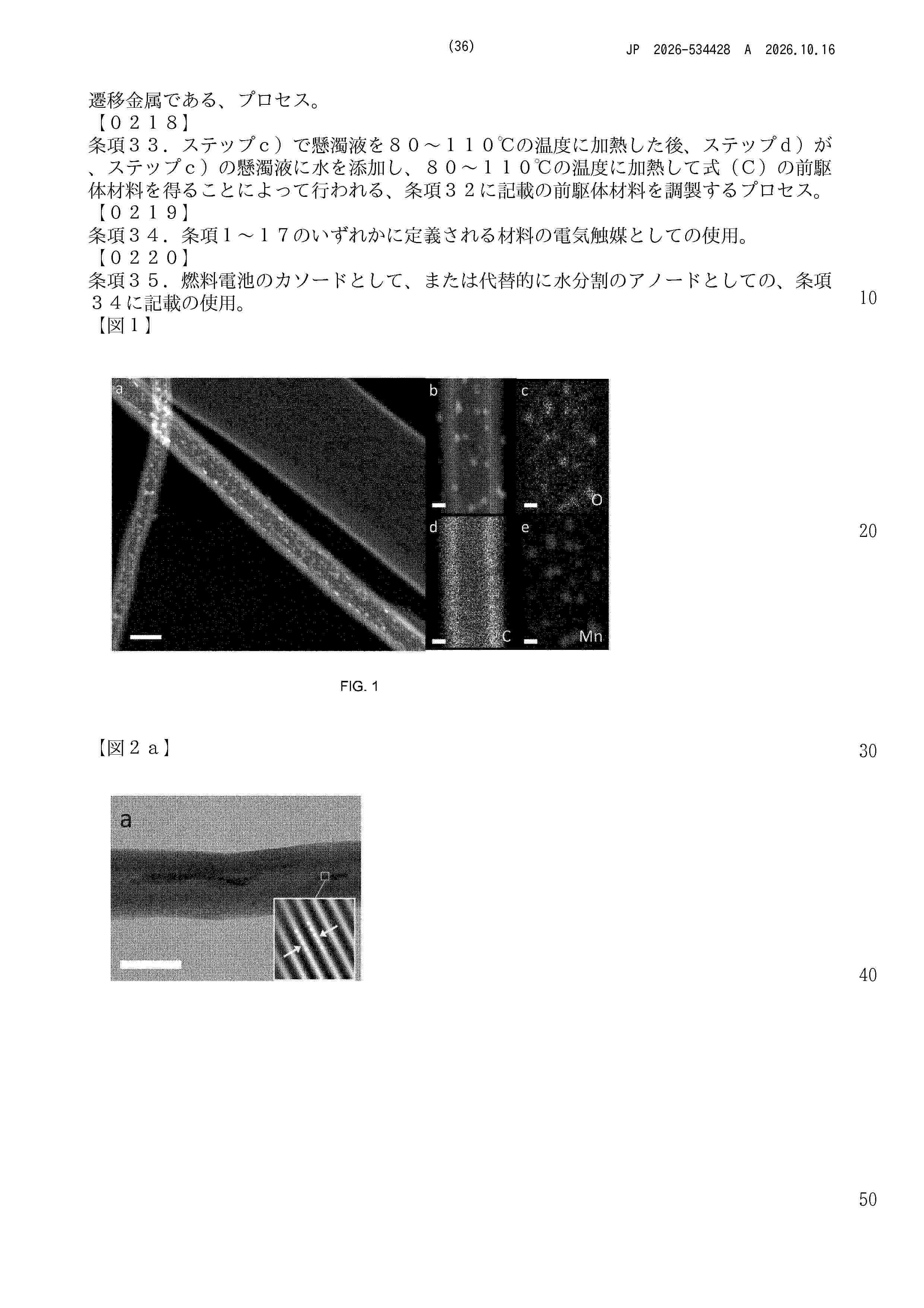 JP_2026534428_A