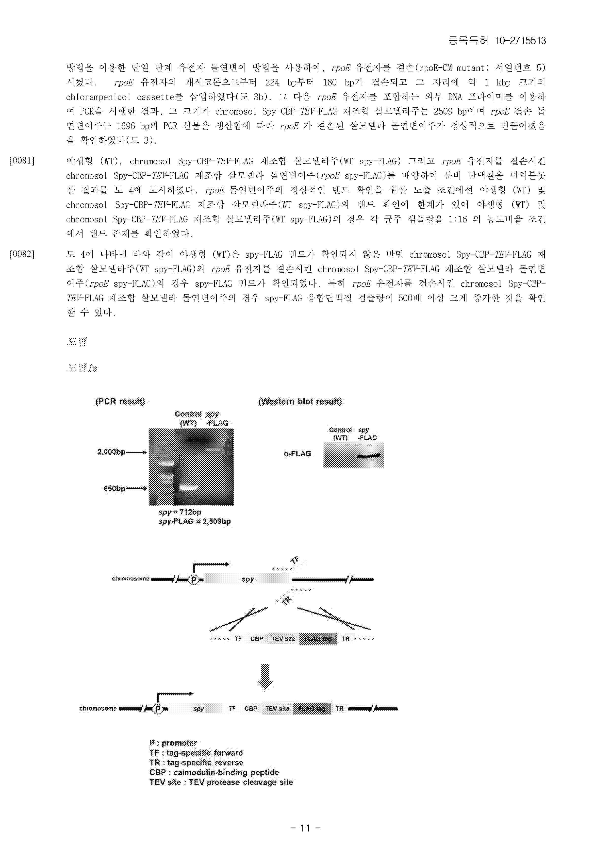KR_102715513_B1