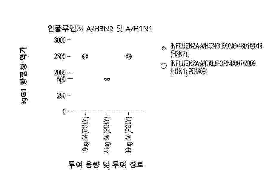 KR_20250046320_PA