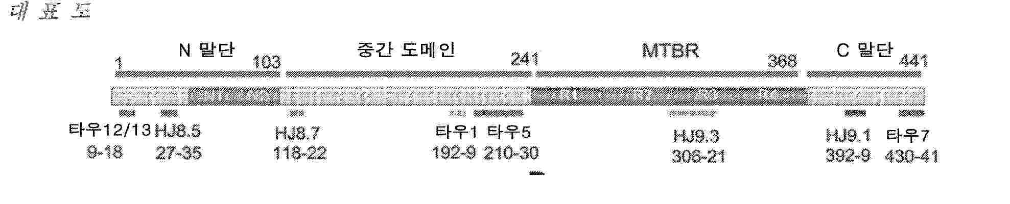 KR_20250048591_PA