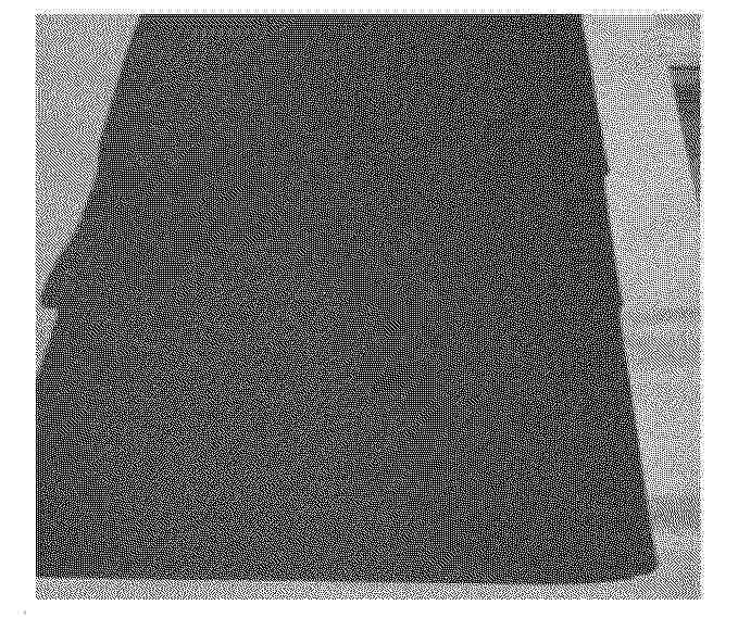 KR_20250053071_PA