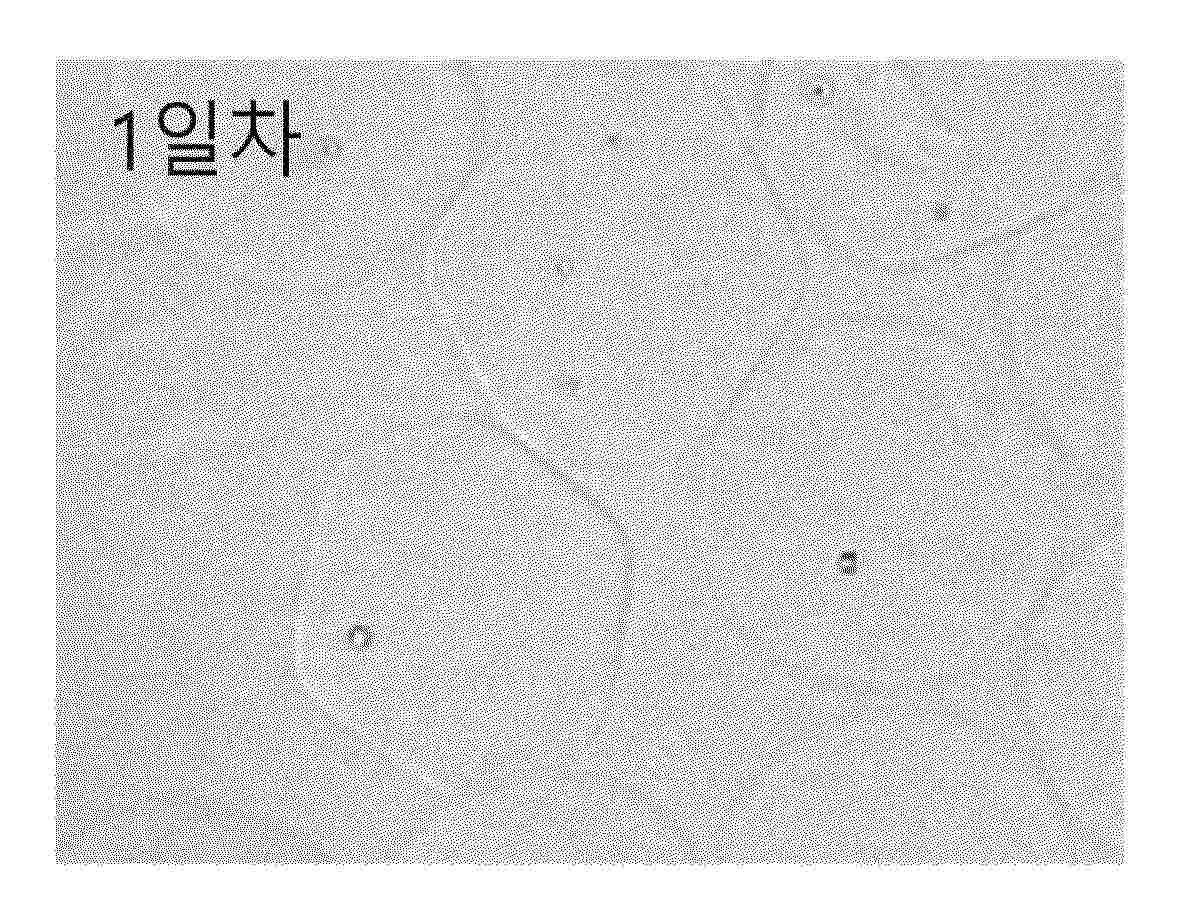 KR_20250065603_PA