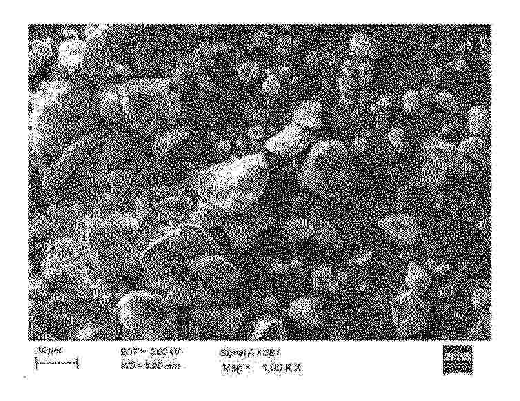 KR_20250067169_PA