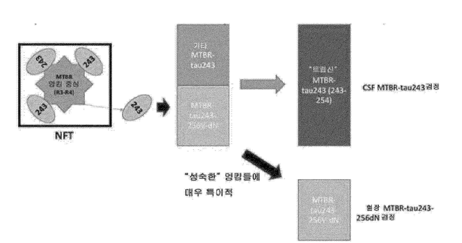 KR_20250075748_PA