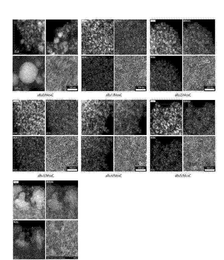 KR_20250083353_PA