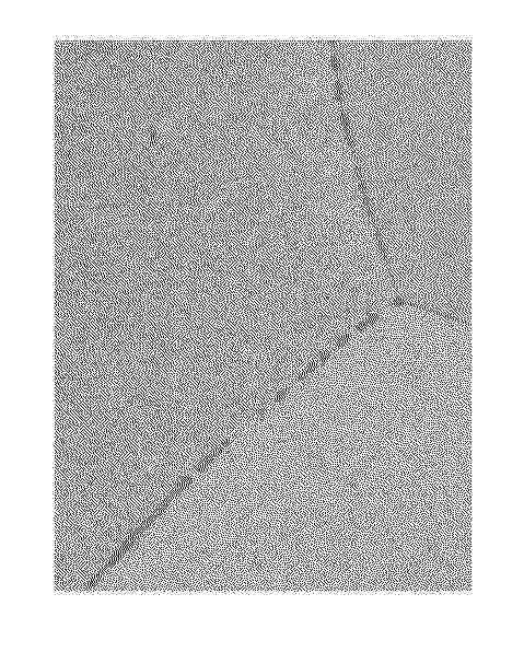 KR_20250086525_PA