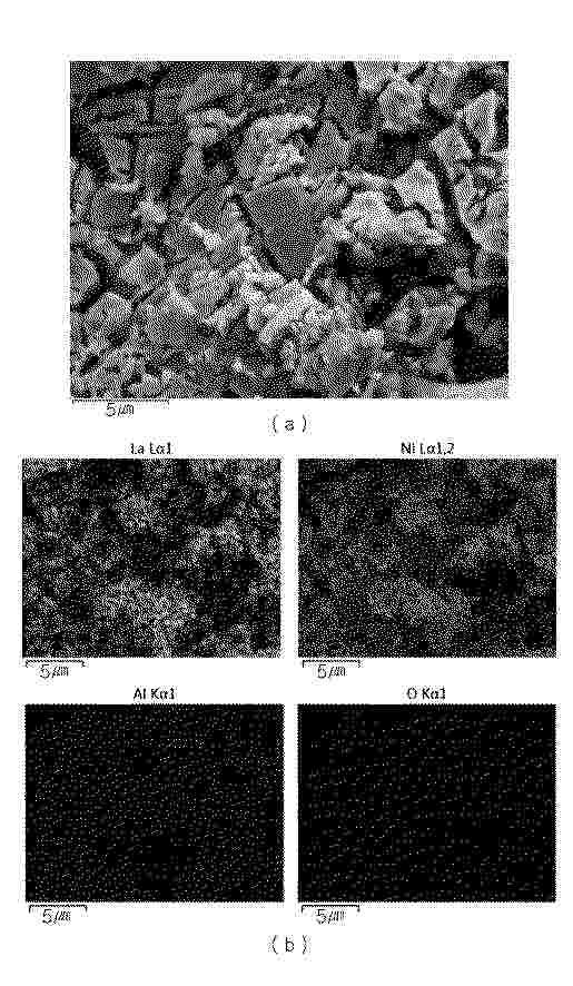 KR_20250089313_PA