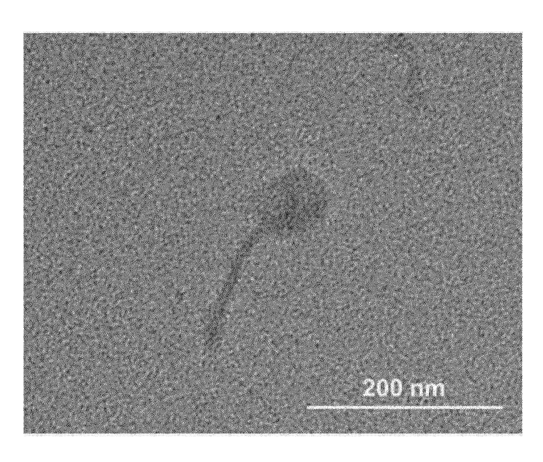 KR_20250092807_PA