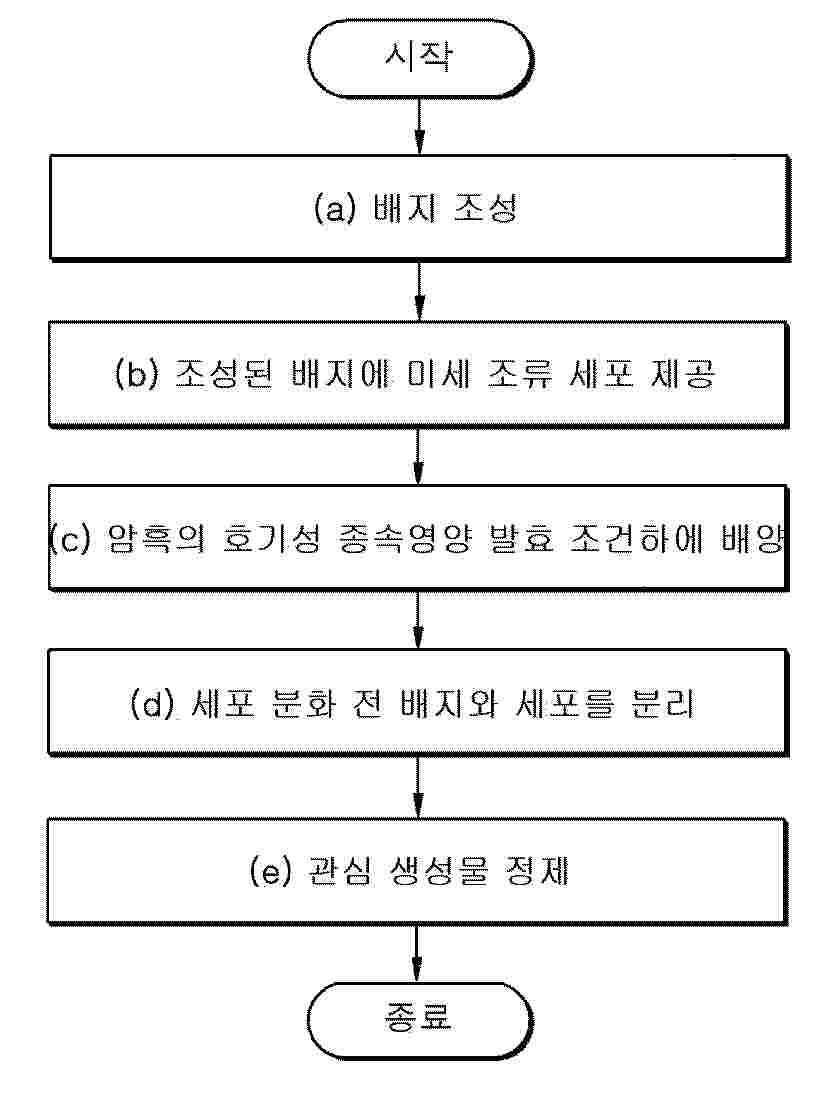 KR_20250100862_PA