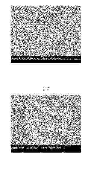 KR_20250116003_PA