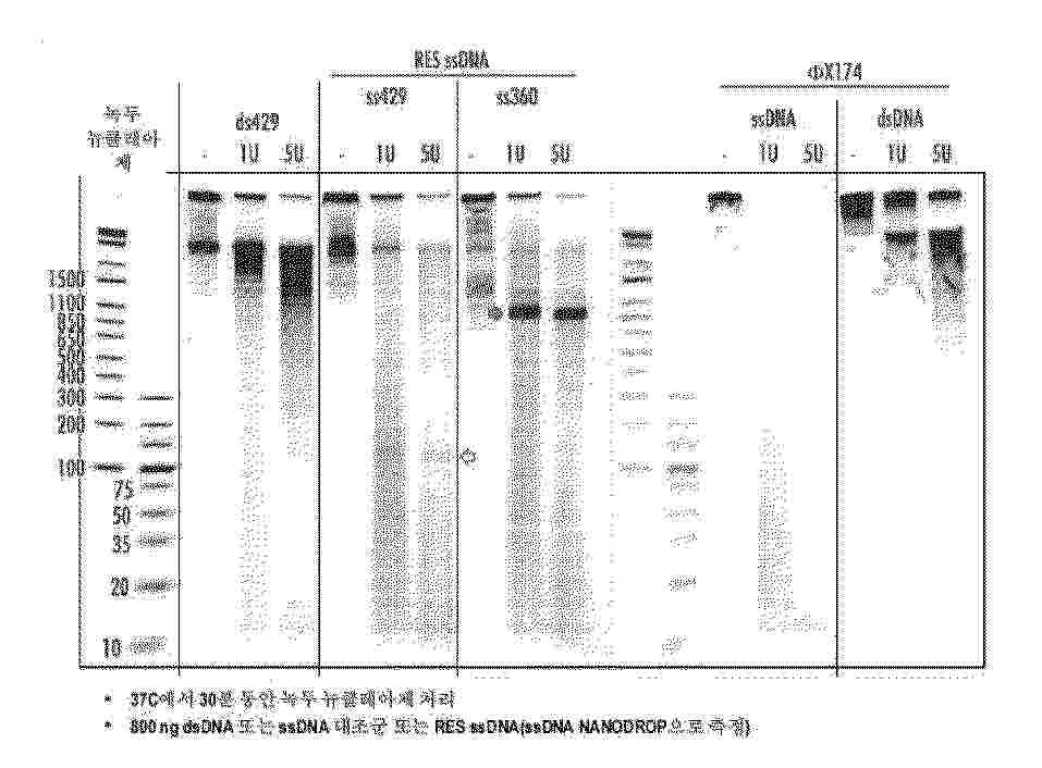 KR_20250131270_PA
