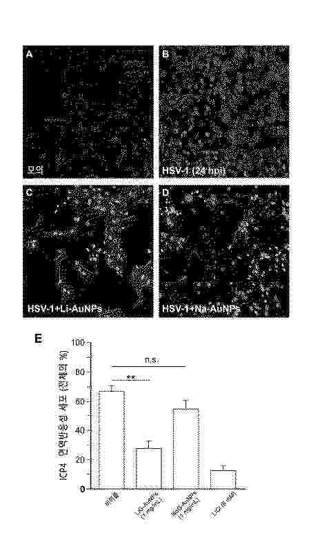 KR_20250142872_PA