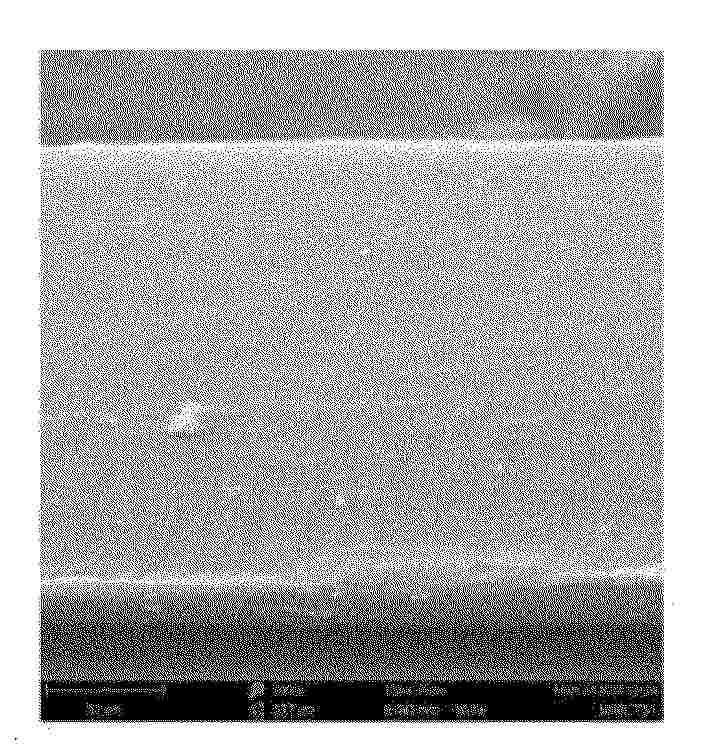 KR_20250144992_PA