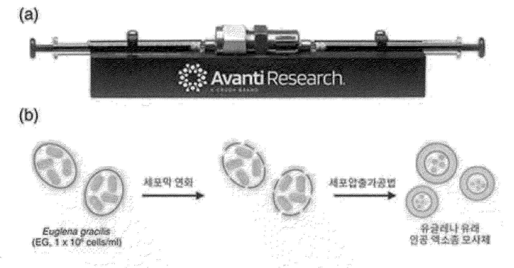 KR_20260070008_PA