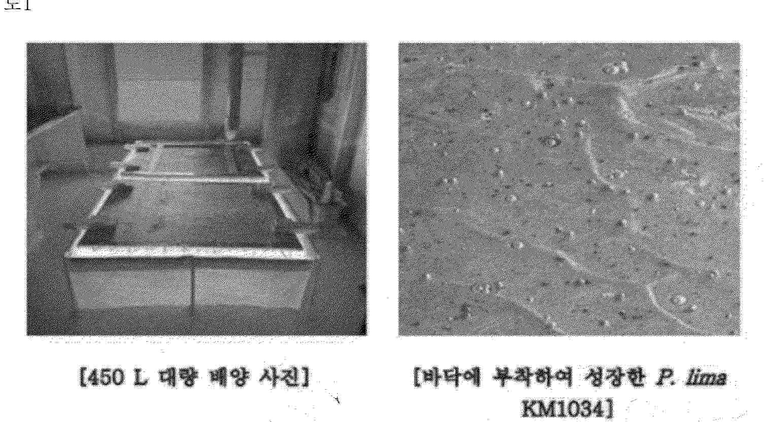 KR_20260104446_PA