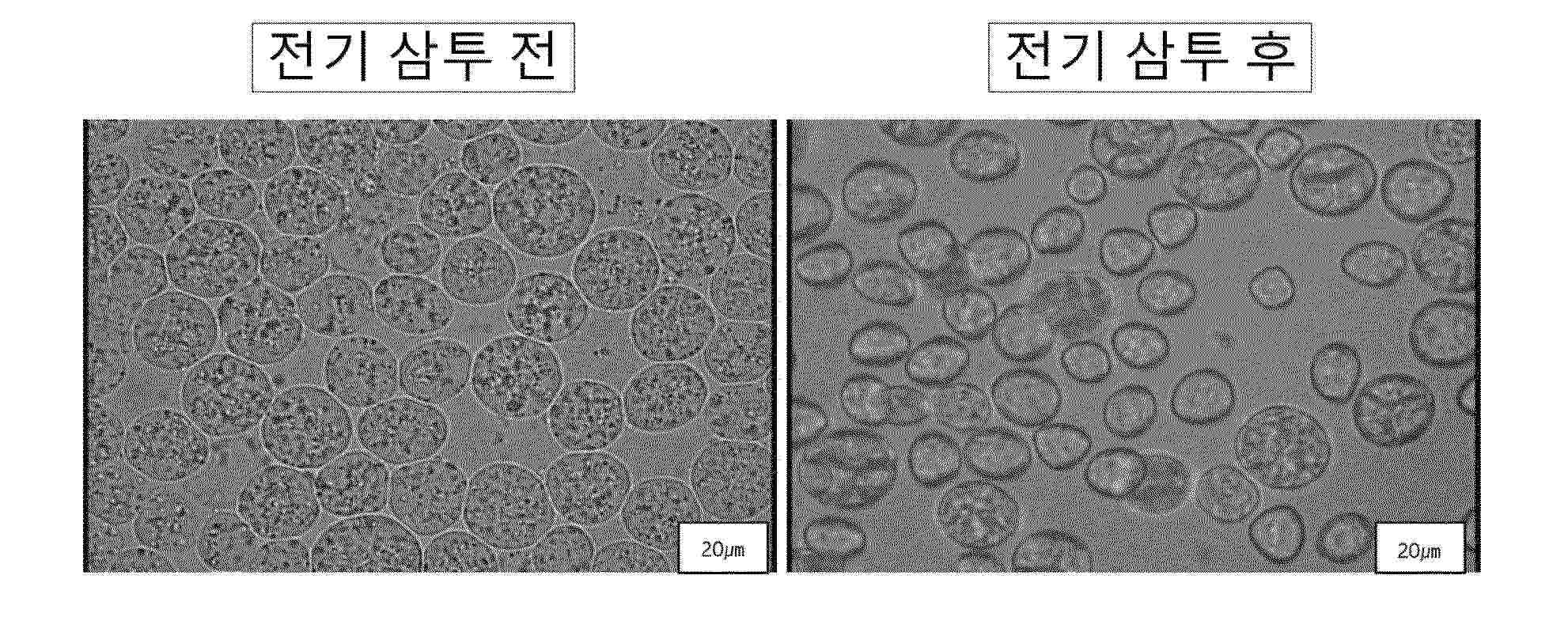 KR_20260125998_PA