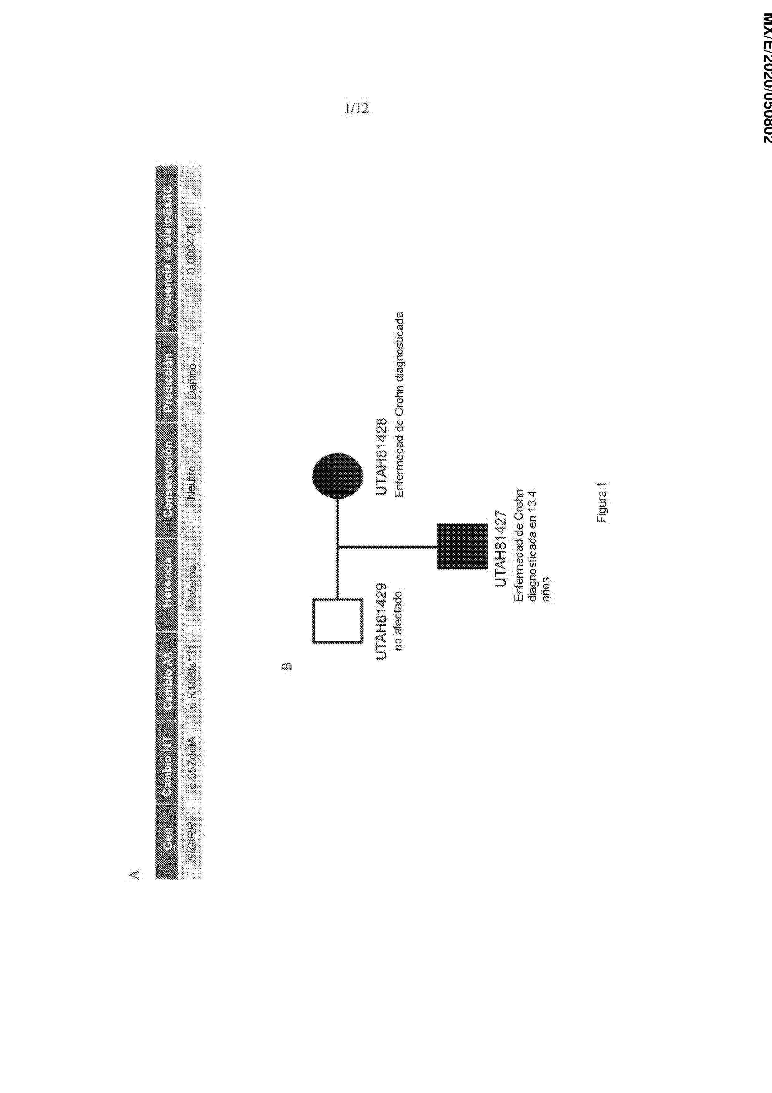 MX_2020002643_A