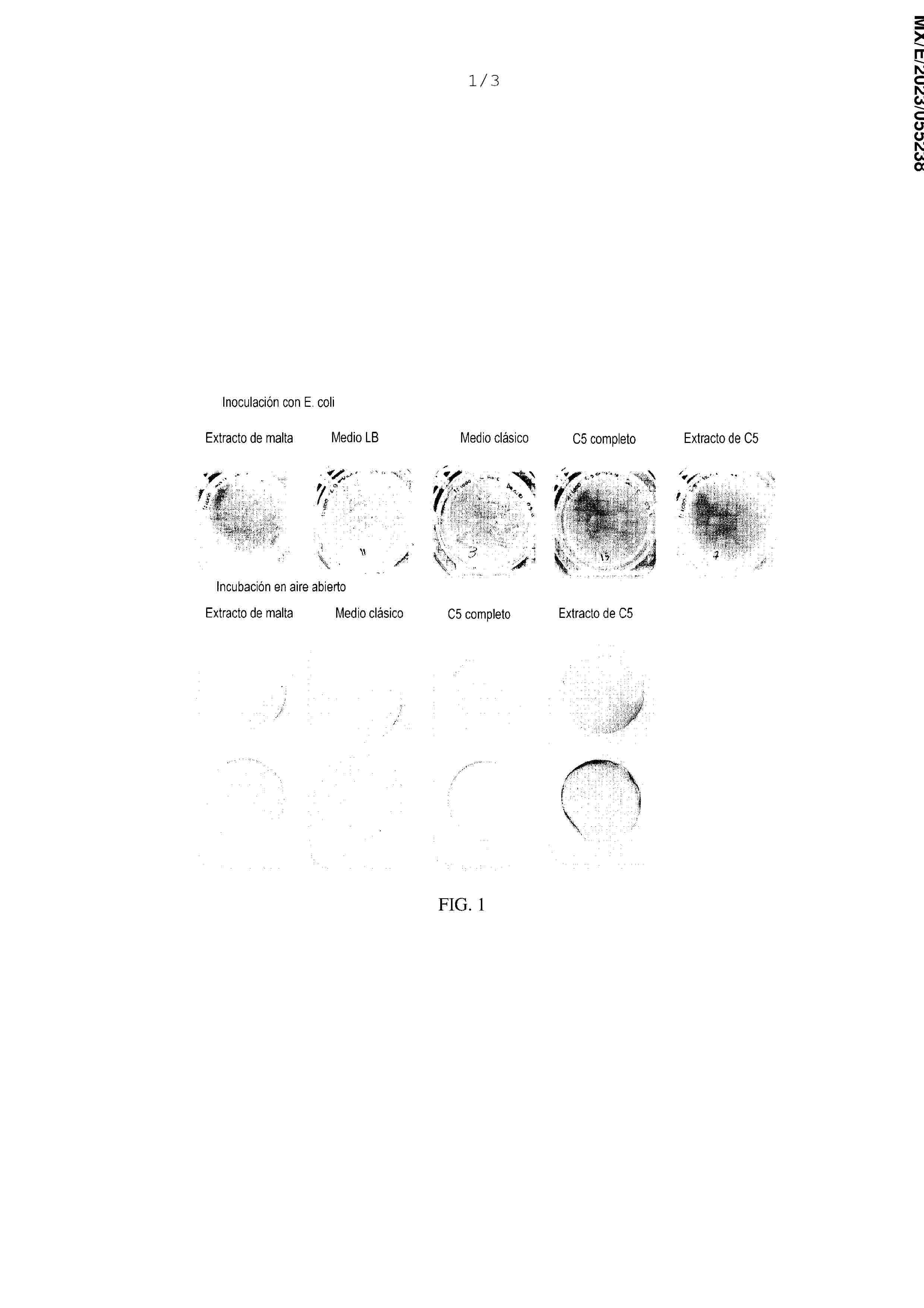 MX_2023006102_A
