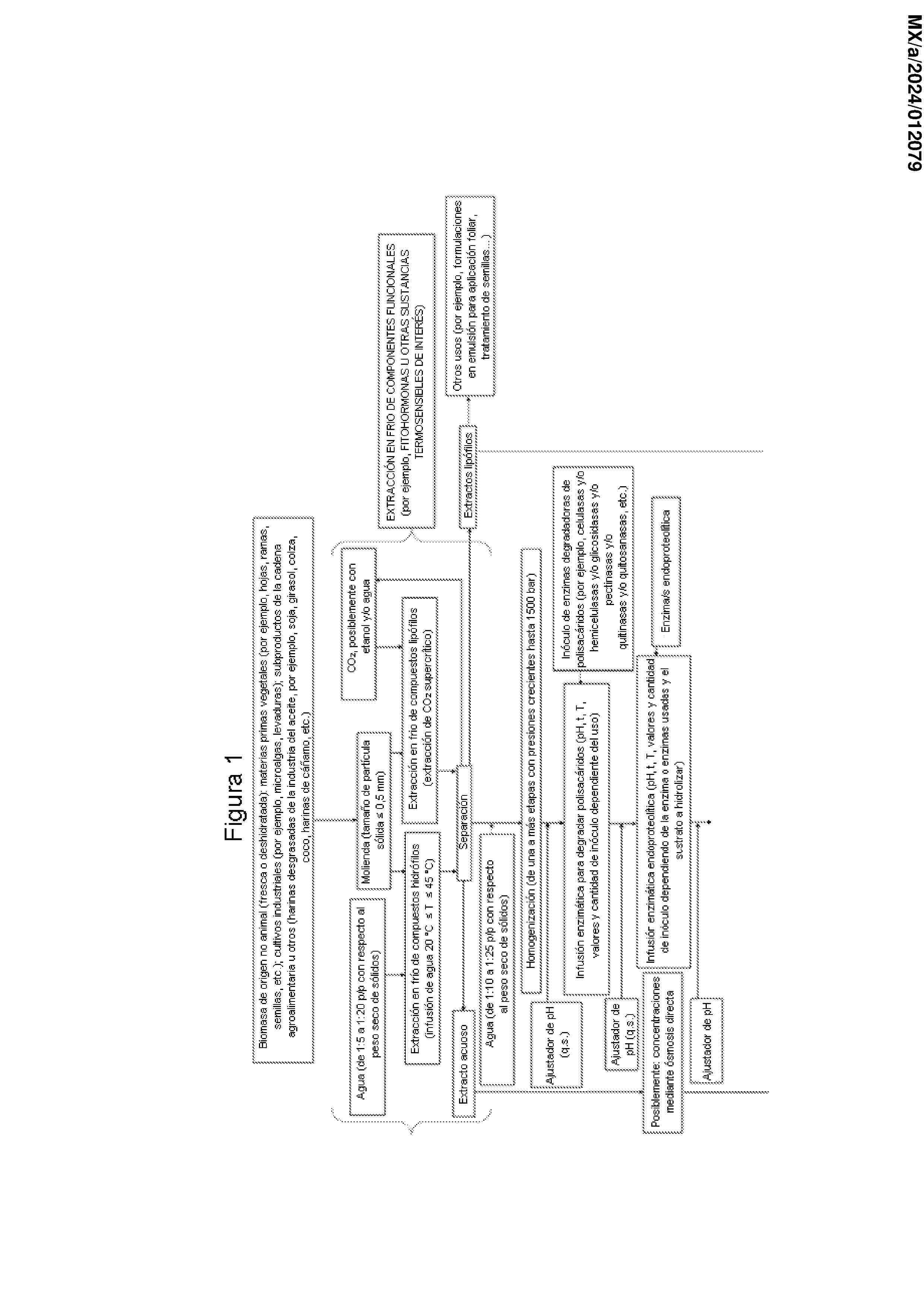MX_2024012079_A