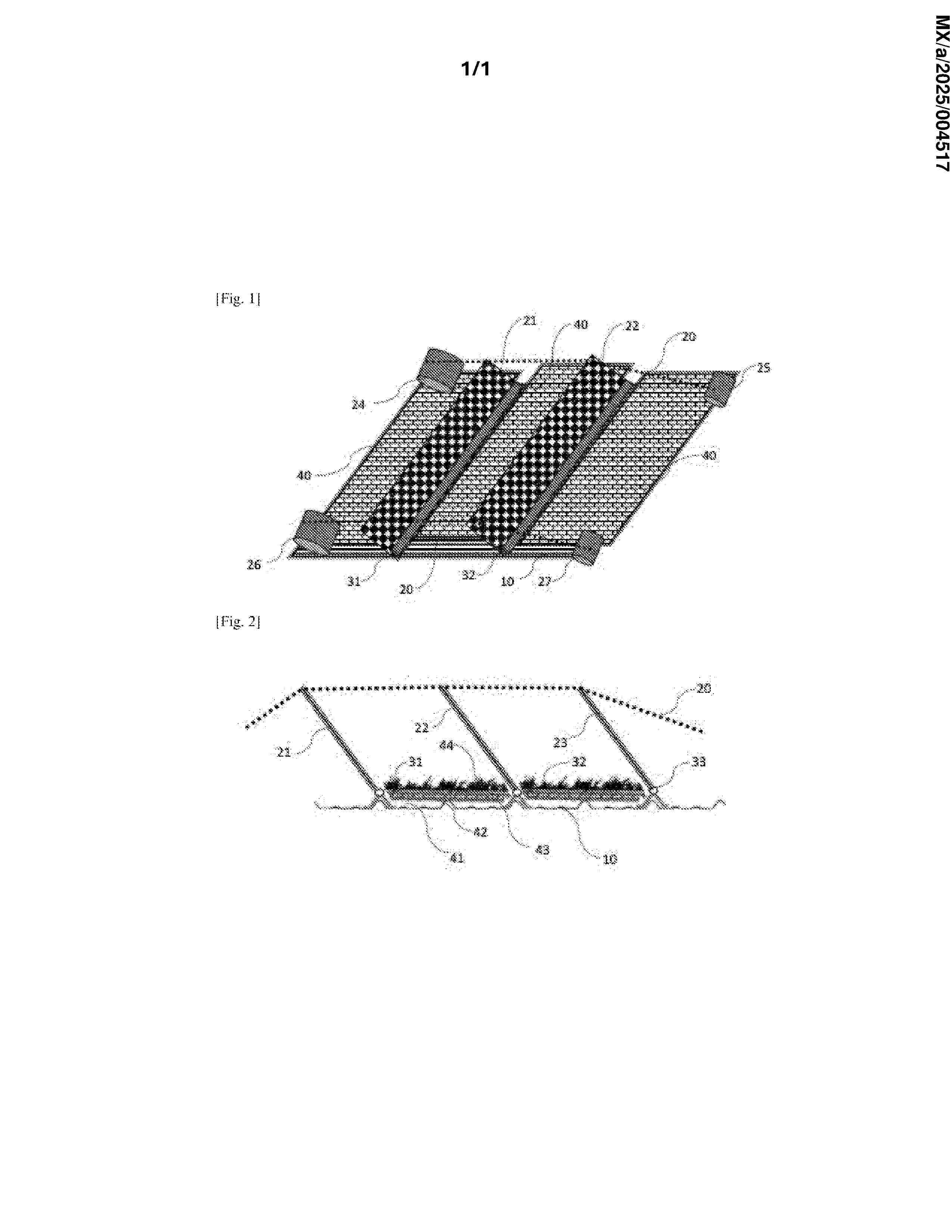 MX_2025004517_A
