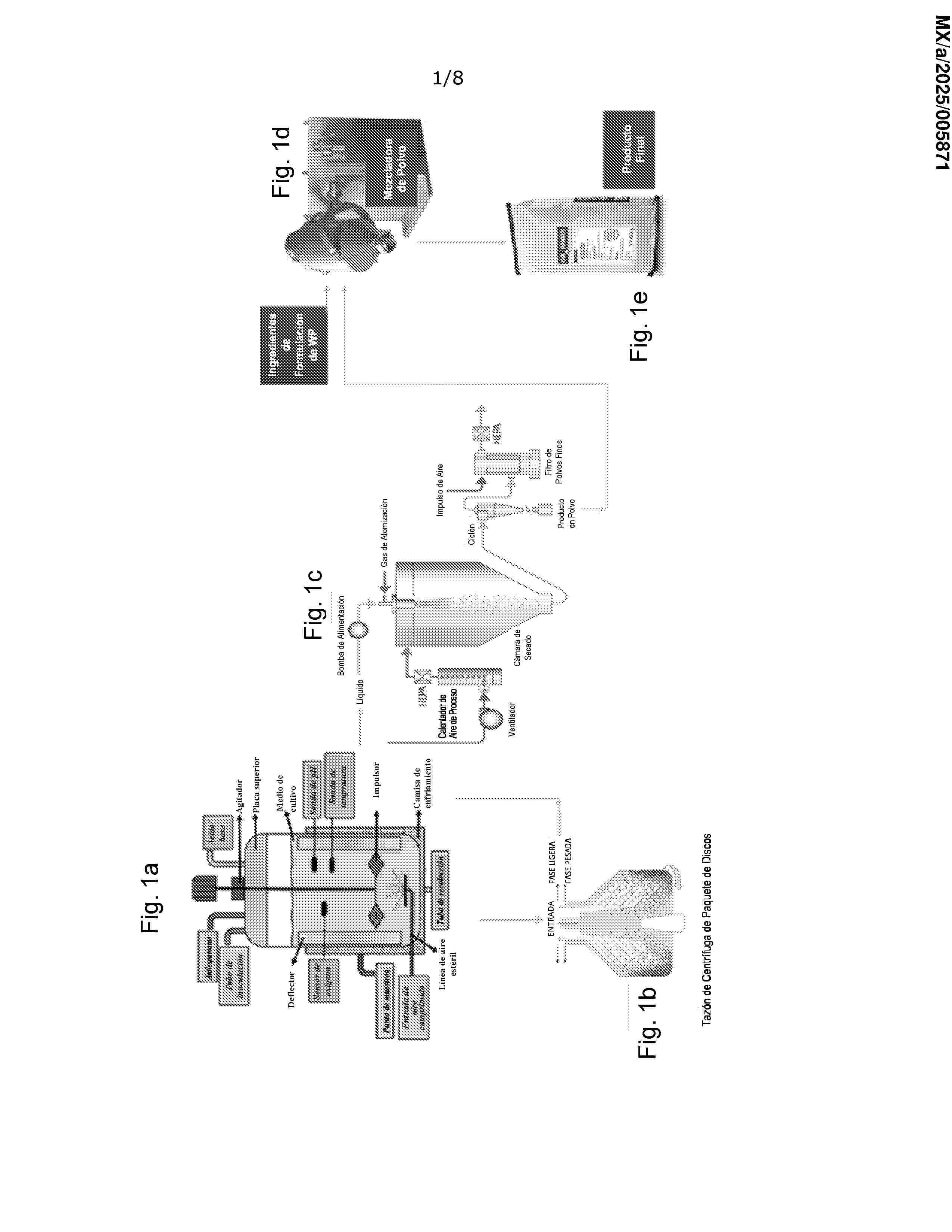 MX_2025005871_A