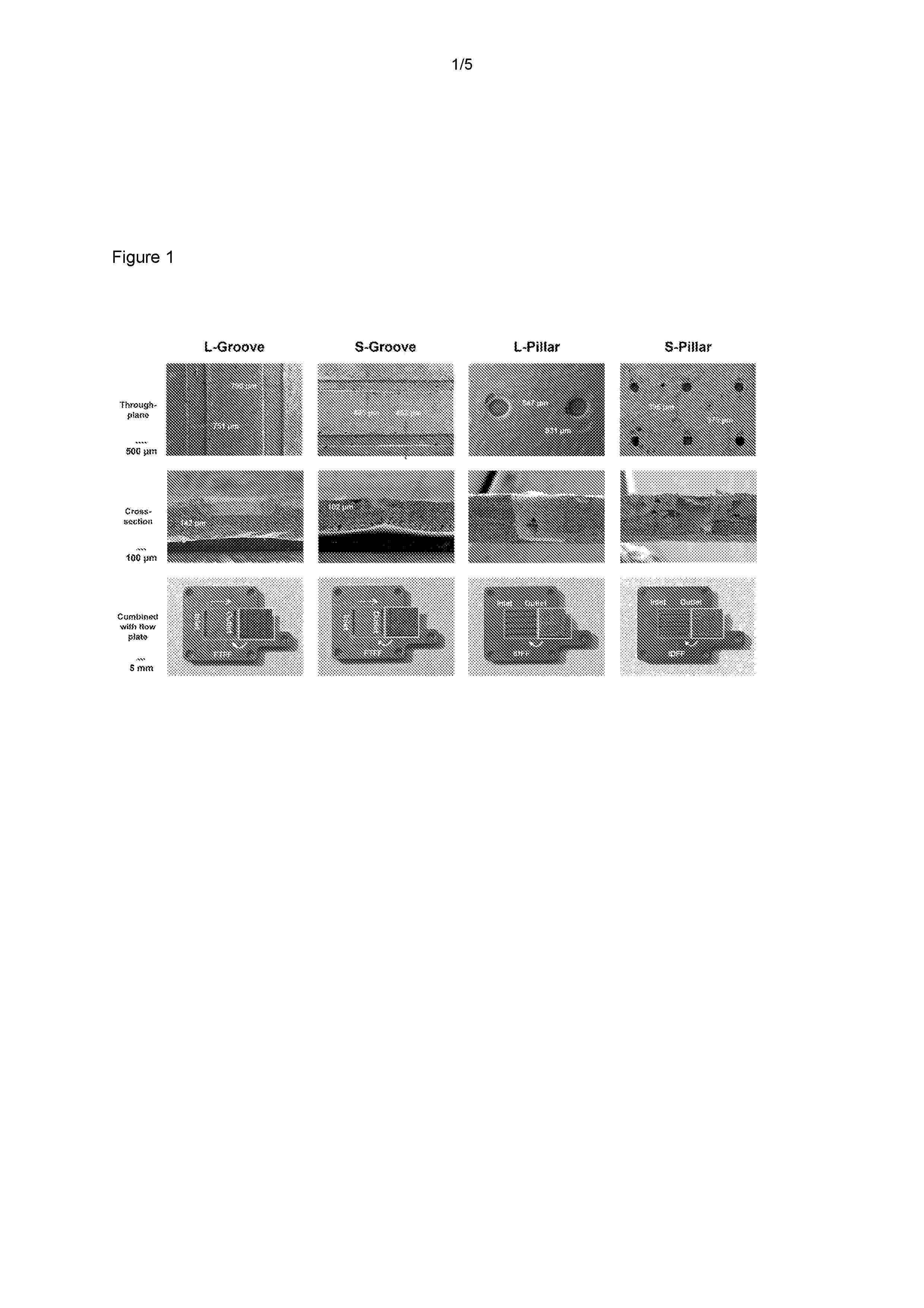 NL_2035974_B1