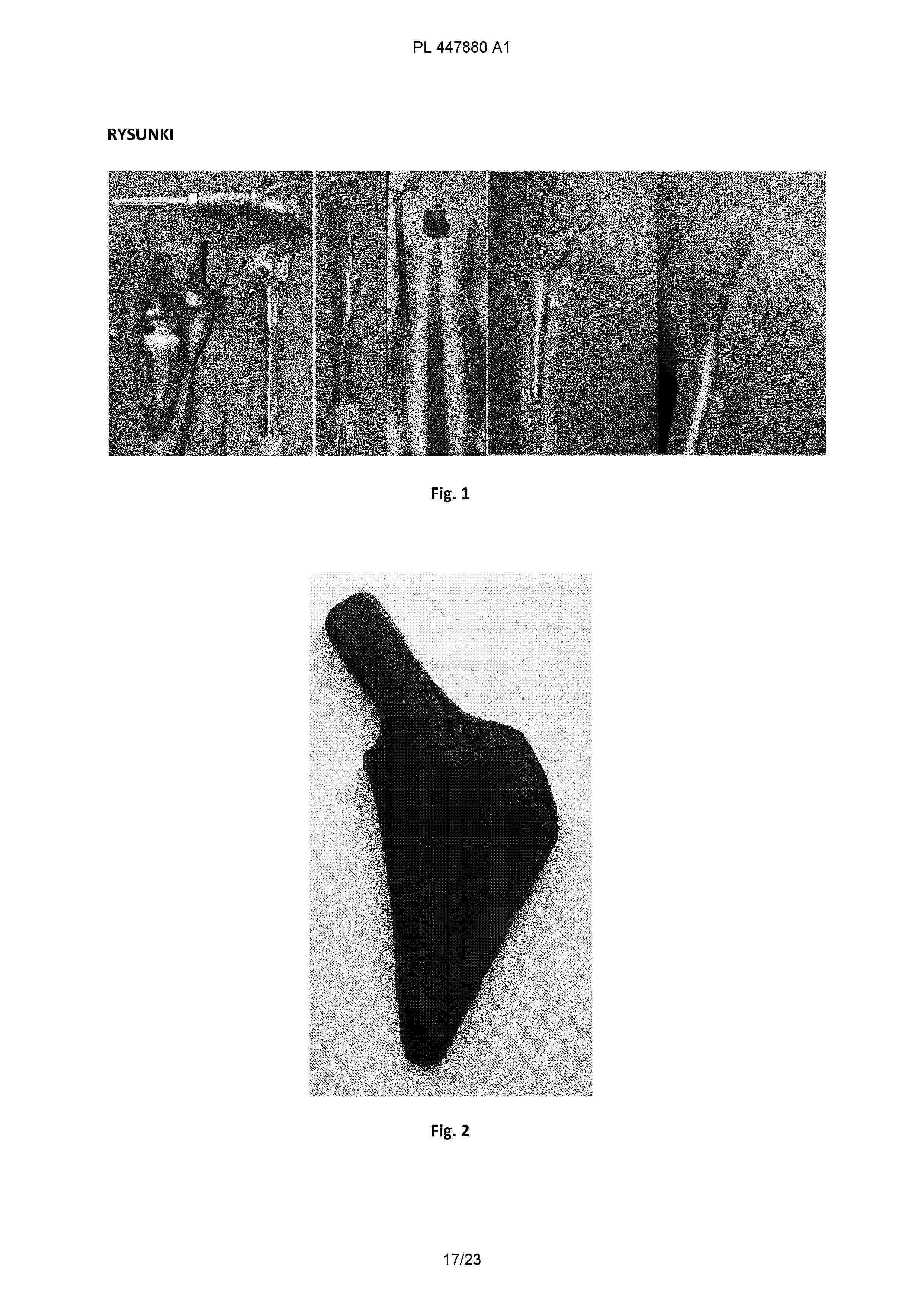 PL_447880_A1