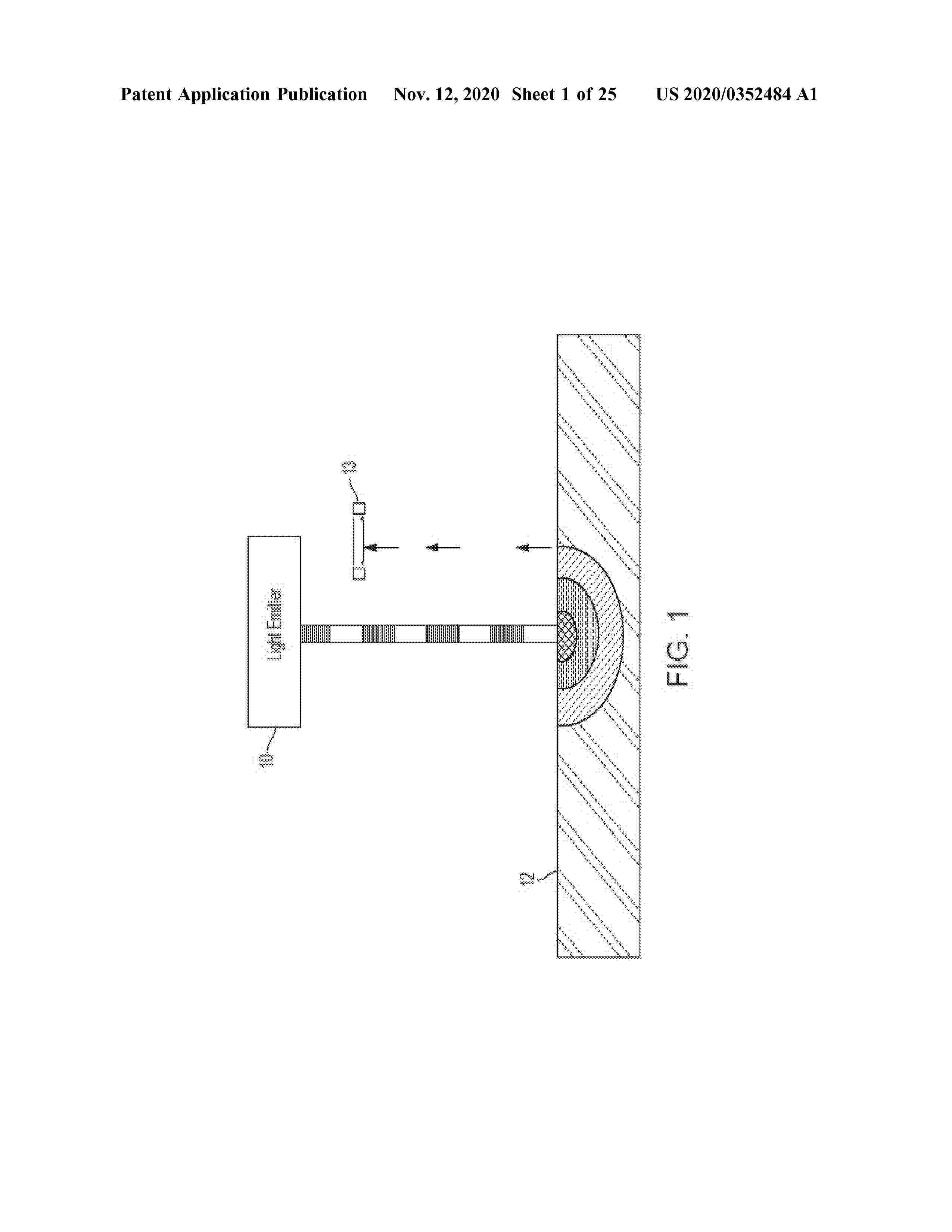 US_2020352484_A1